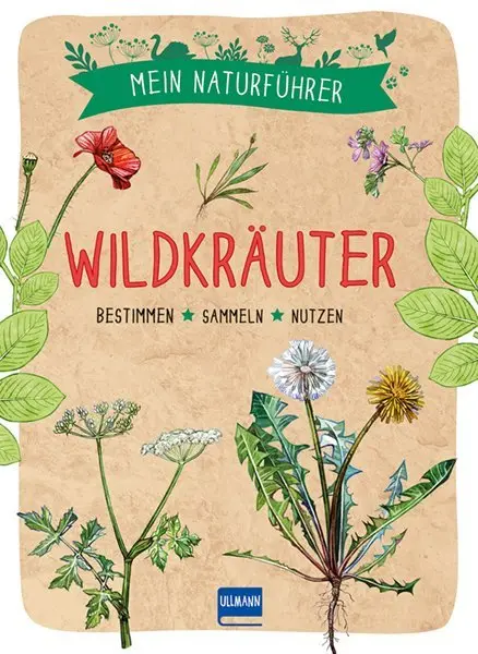 Cover: 9783741524769 | Mein Naturführer - Wildkräuter | Bestimmen - sammeln - nutzen | Buch