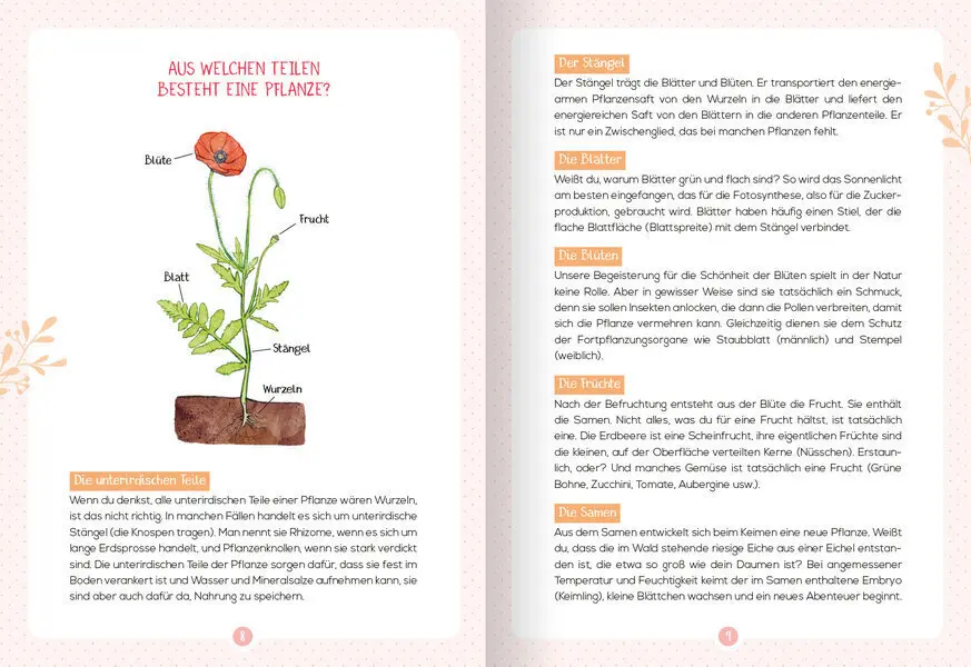 Bild: 9783741524769 | Mein Naturführer - Wildkräuter | Bestimmen - sammeln - nutzen | Buch