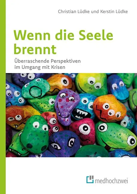 Cover: 9783862164769 | Wenn die Seele brennt | Christian Lüdke (u. a.) | Taschenbuch | 176 S.