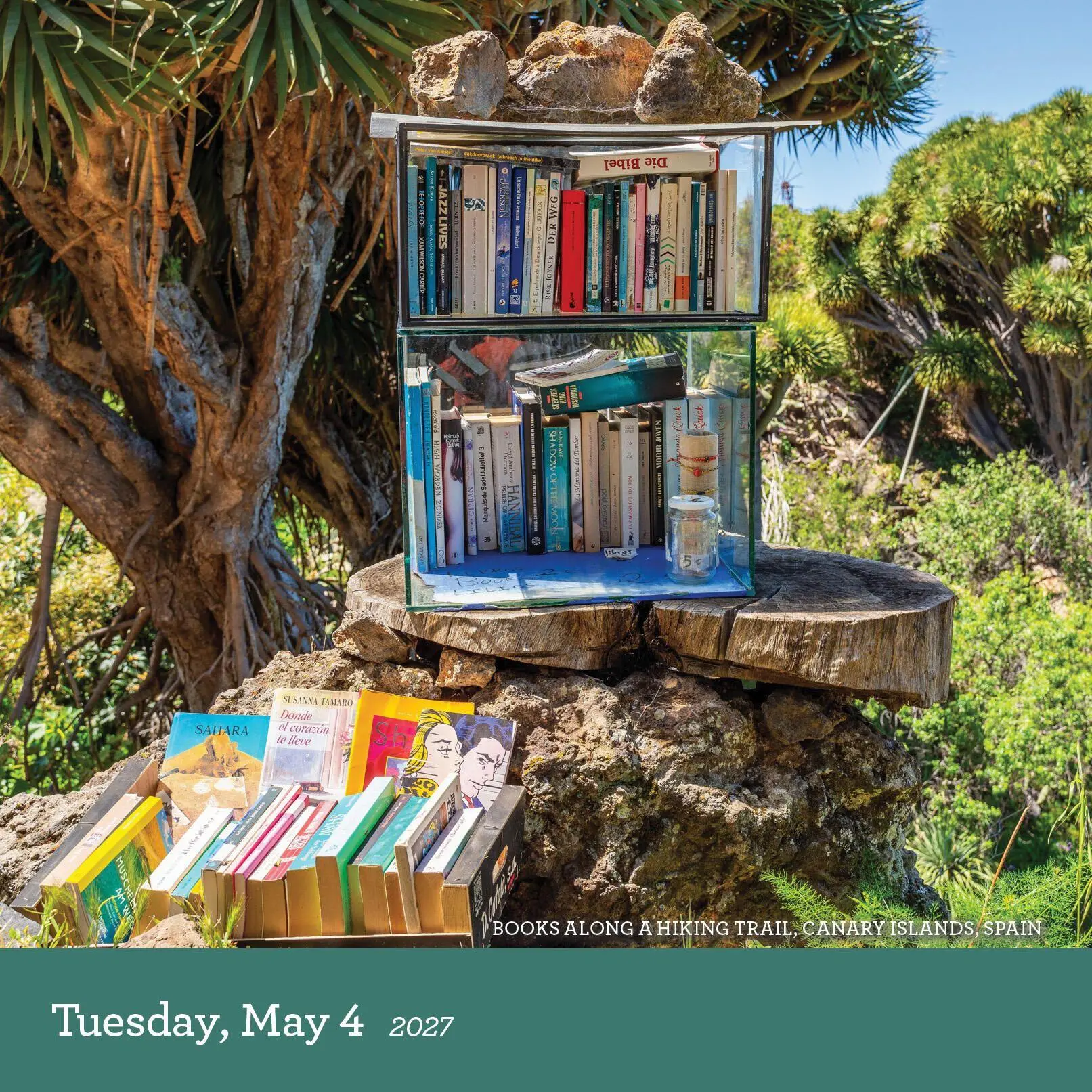 Bild: 9781523534869 | A Book Lover's Year Page-A-Day® Calendar 2027 | Workman Calendars