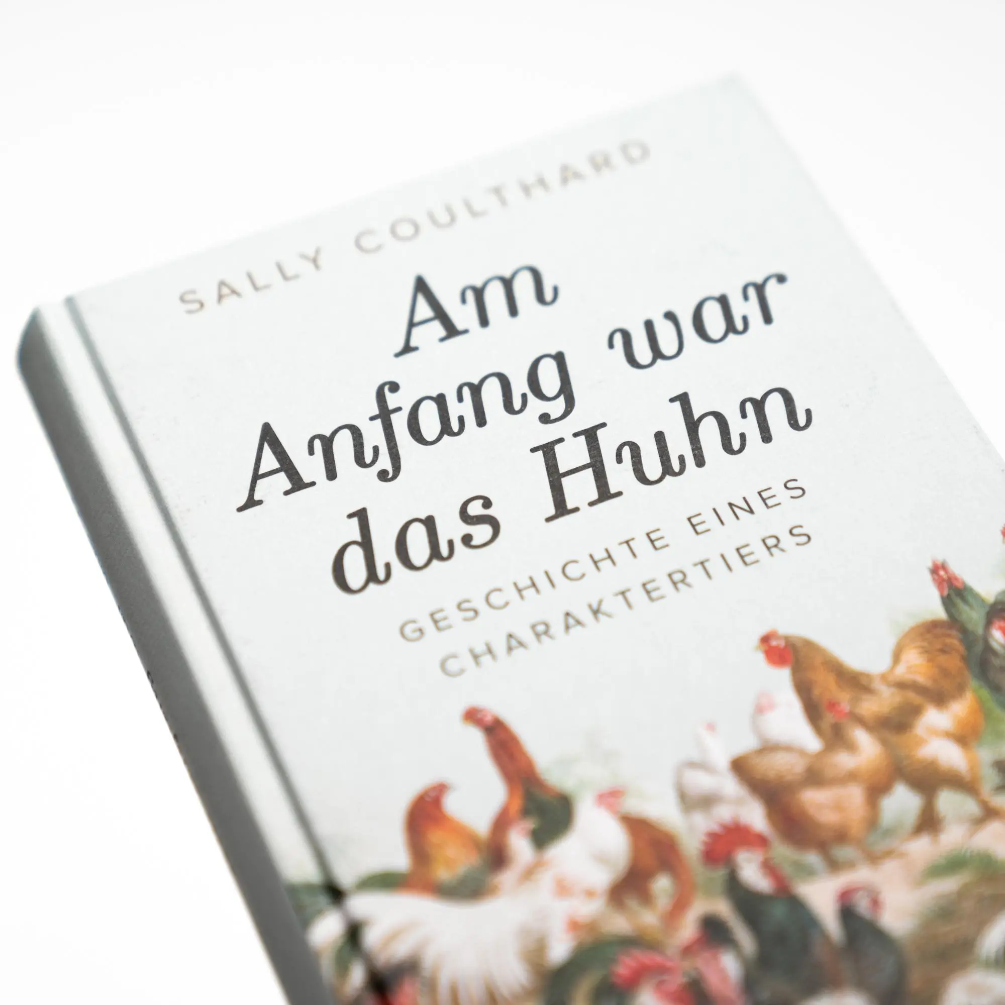 Bild: 9783365004869 | Am Anfang war das Huhn. Geschichte eines Charaktertiers | Coulthard