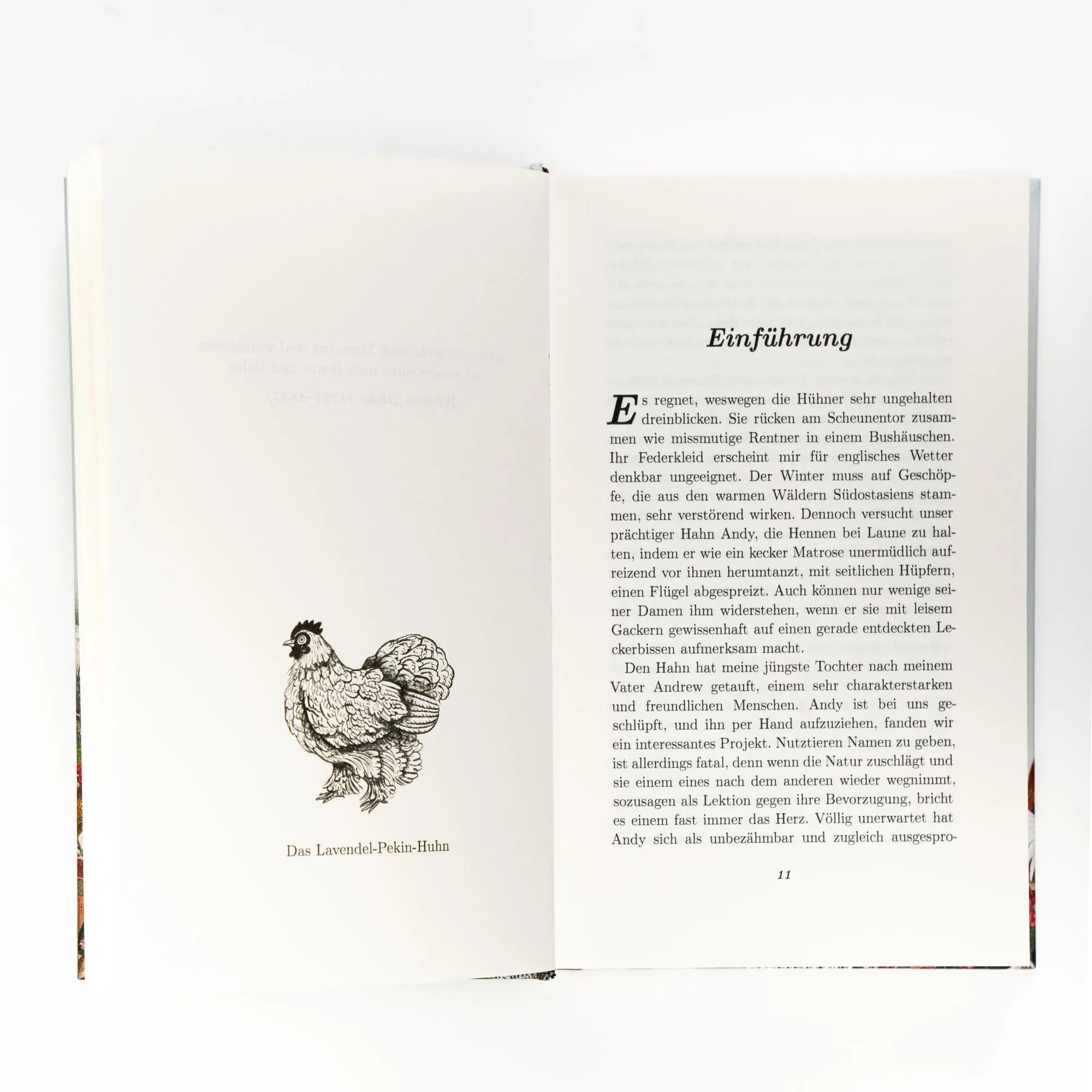 Bild: 9783365004869 | Am Anfang war das Huhn. Geschichte eines Charaktertiers | Coulthard