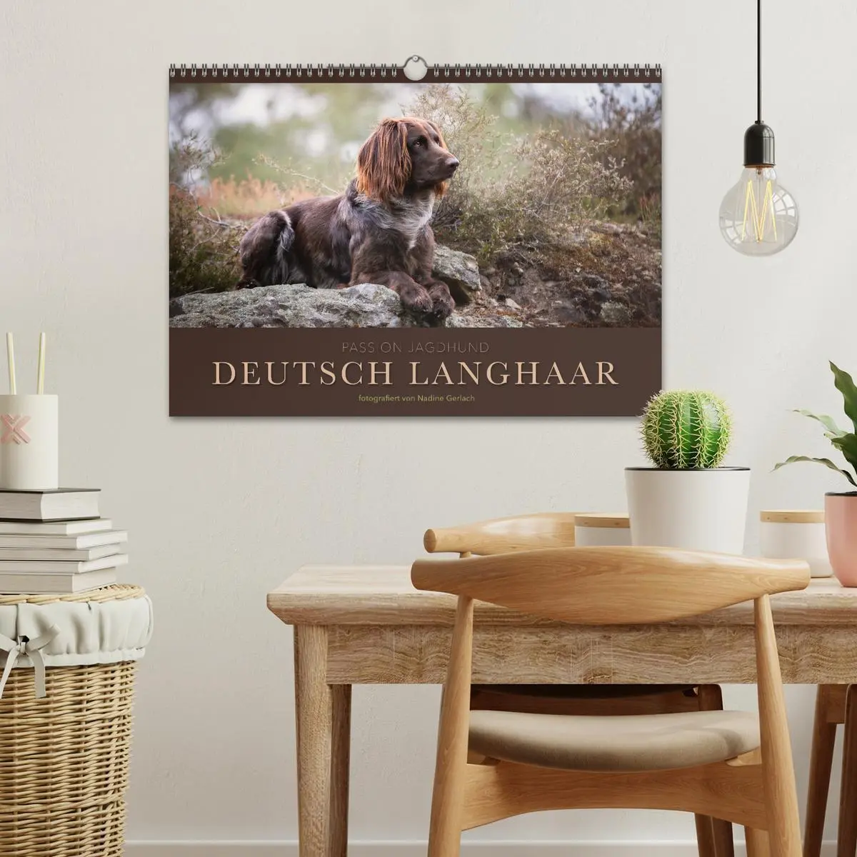 Bild: 9783457554869 | Passion Jagdhund - Deutsch Langhaar (Wandkalender 2026 DIN A3...