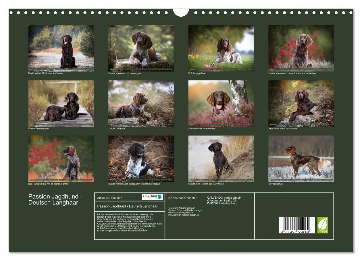 Bild: 9783457554869 | Passion Jagdhund - Deutsch Langhaar (Wandkalender 2026 DIN A3...