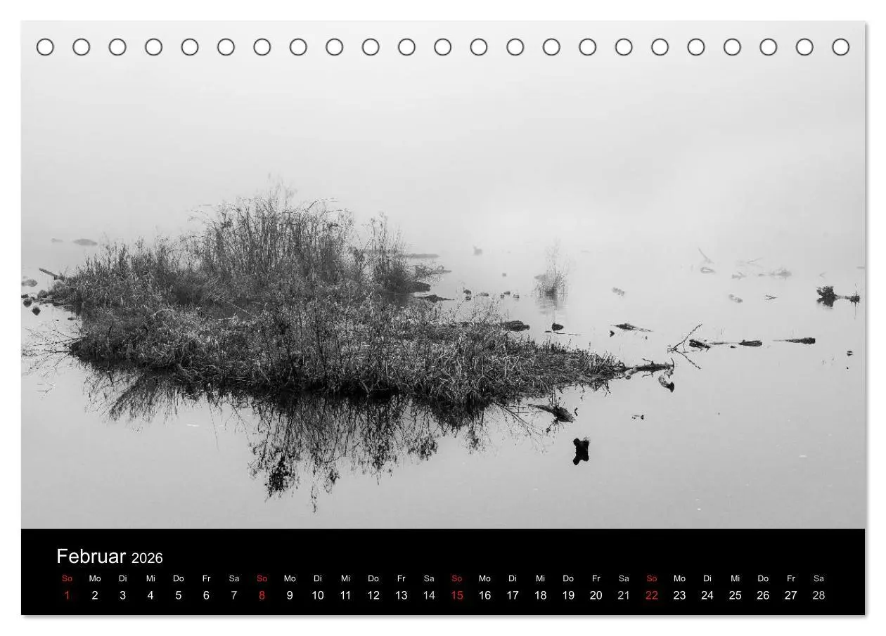 Bild: 9783516024869 | Monochrom 2026 (Tischkalender 2026 DIN A5 quer), CALVENDO...