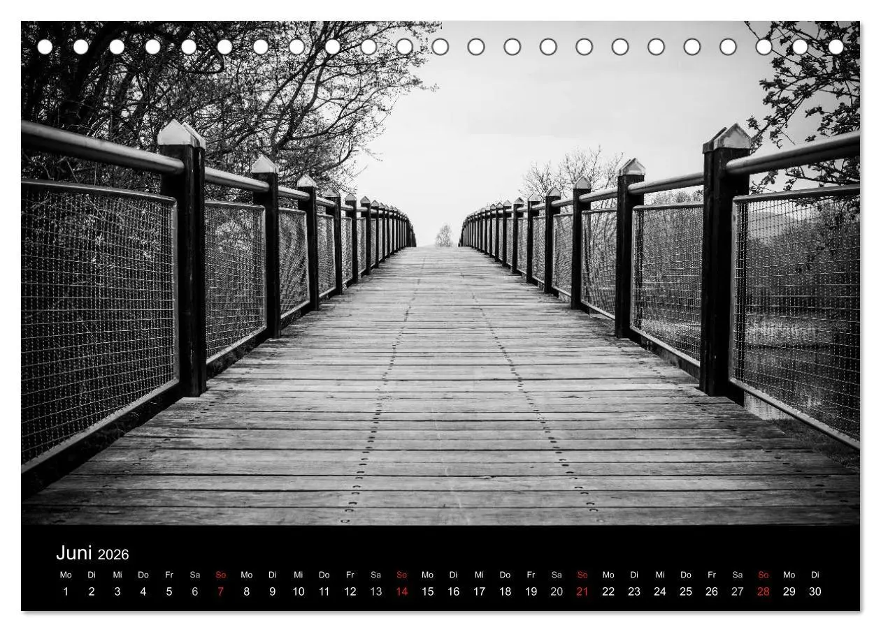 Bild: 9783516024869 | Monochrom 2026 (Tischkalender 2026 DIN A5 quer), CALVENDO...