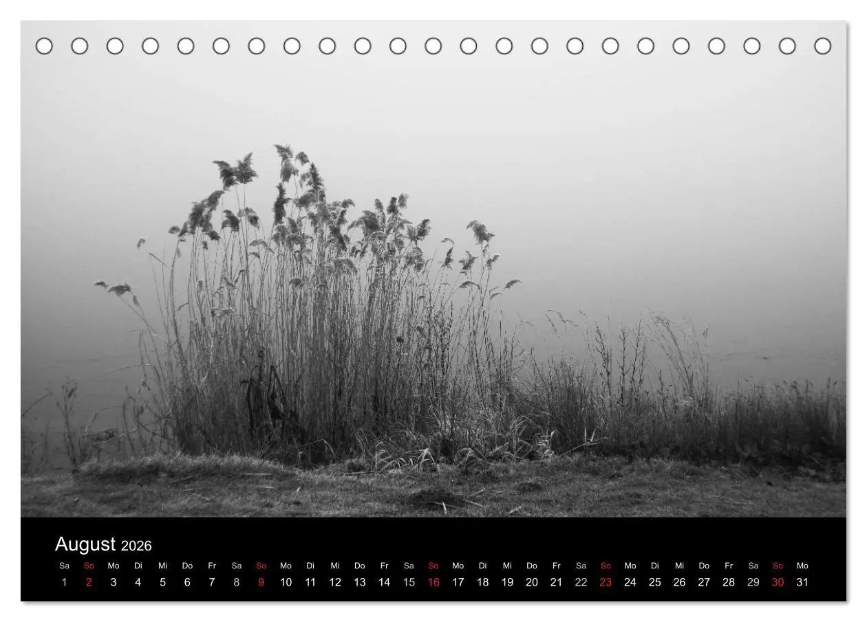 Bild: 9783516024869 | Monochrom 2026 (Tischkalender 2026 DIN A5 quer), CALVENDO...