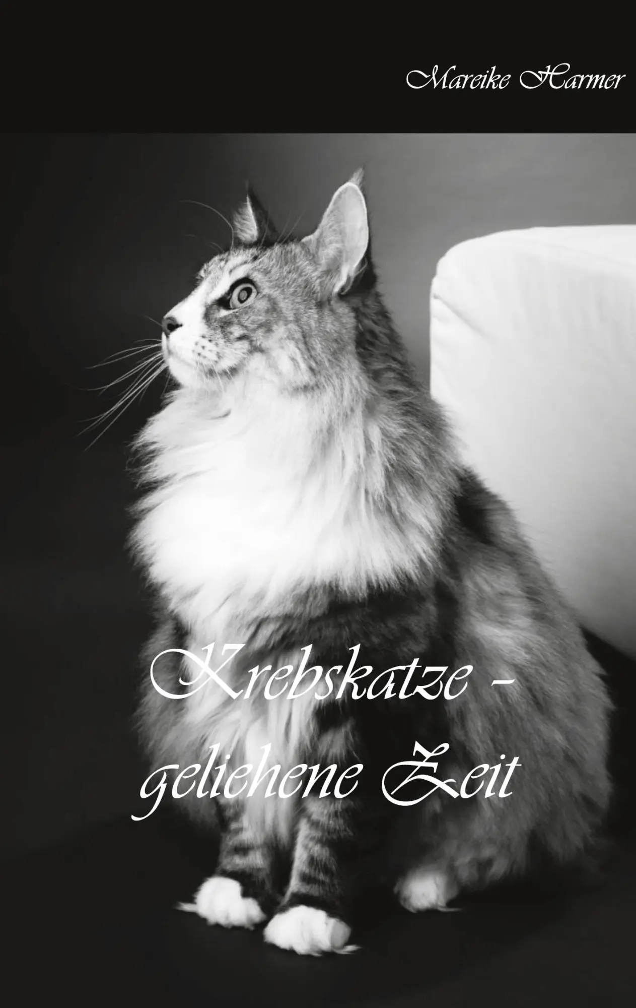 Cover: 9783752644869 | Krebskatze | geliehene Zeit | Mareike Harmer | Taschenbuch | Paperback