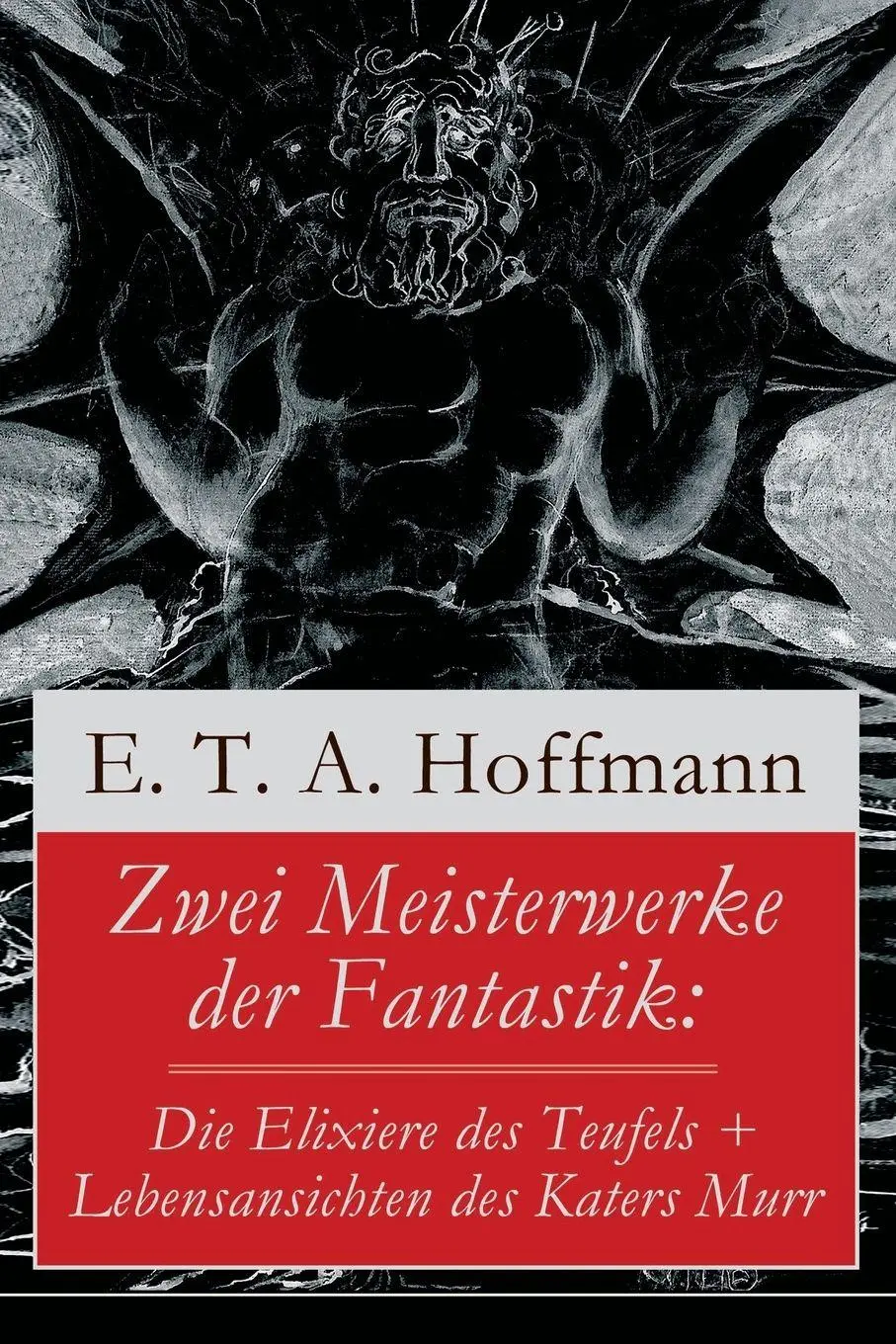 Cover: 9788026854869 | Zwei Meisterwerke der Fantastik | E. T. A. Hoffmann | Taschenbuch