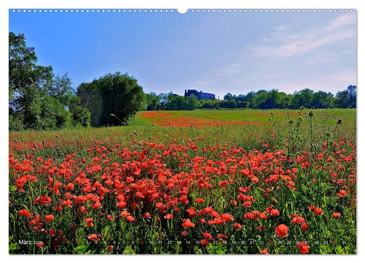 Bild: 9783435524969 | Toskana - Magie der Farben (Wandkalender 2025 DIN A2 quer),...