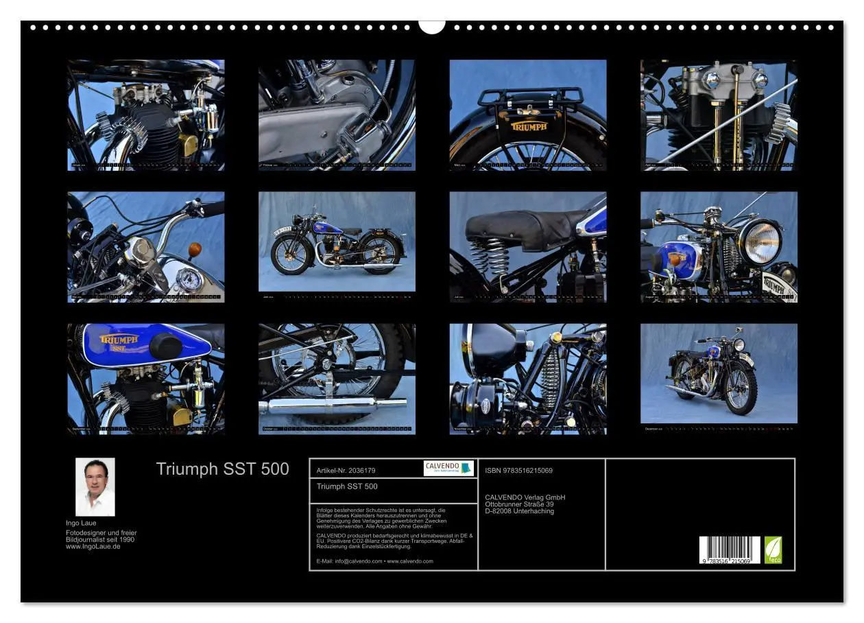 Bild: 9783516215069 | Triumph SST 500 (Wandkalender 2026 DIN A2 quer), CALVENDO...