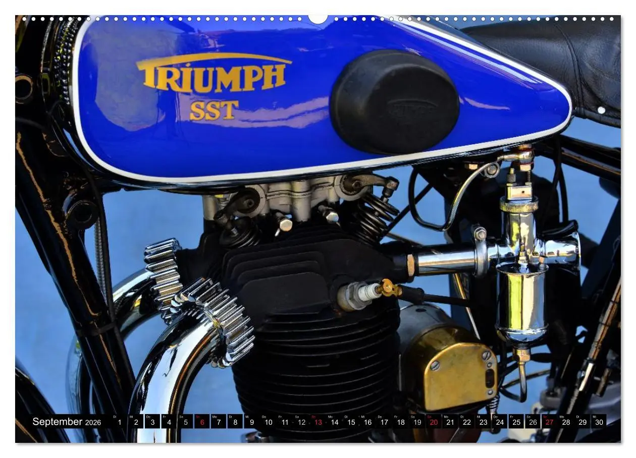Bild: 9783516215069 | Triumph SST 500 (Wandkalender 2026 DIN A2 quer), CALVENDO...
