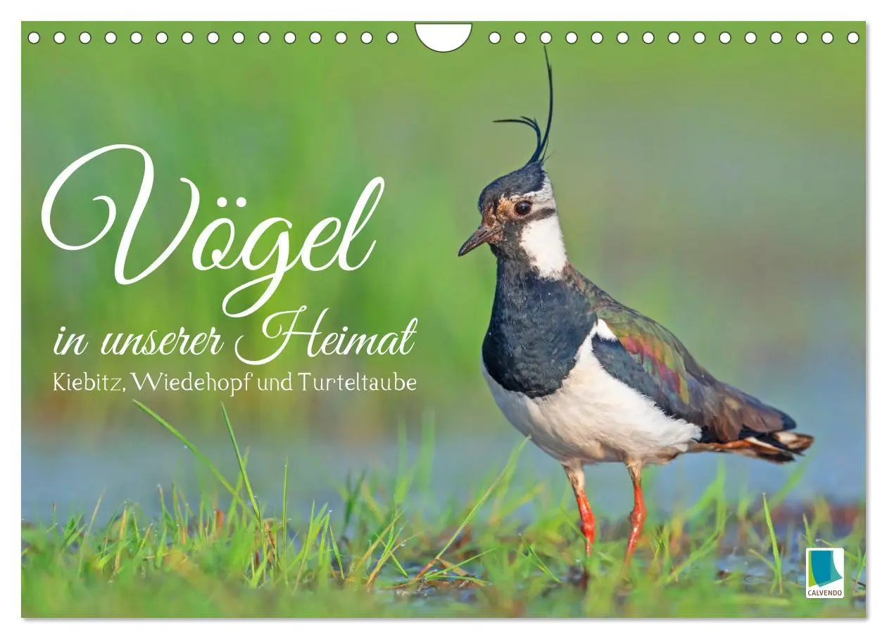 Cover: 9783457355169 | Vögel in unserer Heimat: Kiebitz, Wiedehopf und Turteltaube...