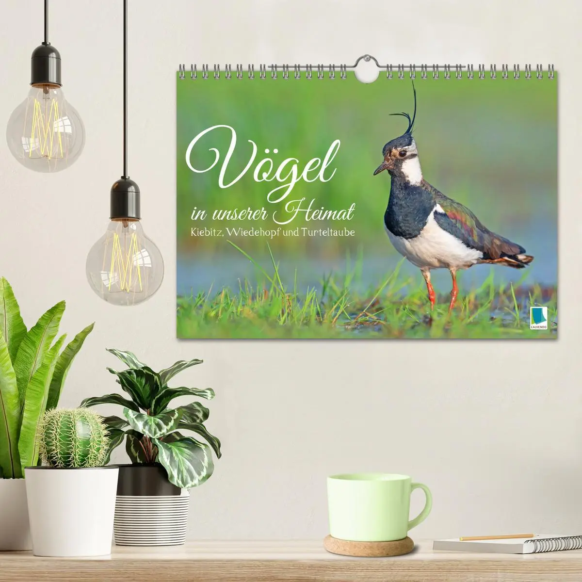 Bild: 9783457355169 | Vögel in unserer Heimat: Kiebitz, Wiedehopf und Turteltaube...