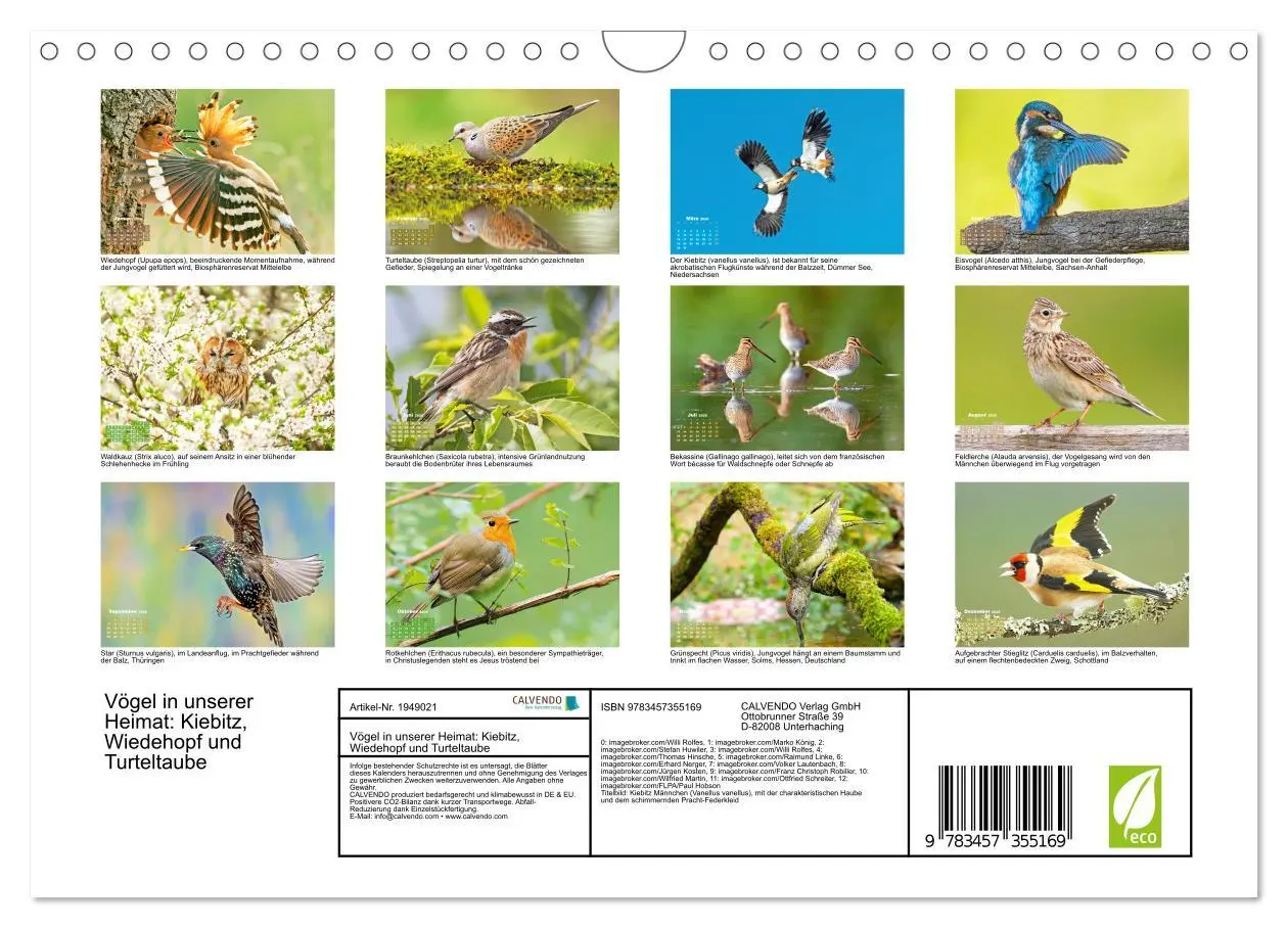 Bild: 9783457355169 | Vögel in unserer Heimat: Kiebitz, Wiedehopf und Turteltaube...