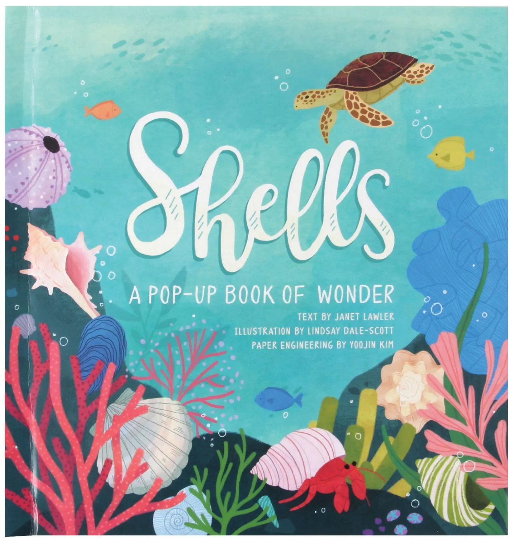 Cover: 9781623485269 | Shells | A Pop-Up Book of Wonder | Janet Lawler | Buch | Gebunden