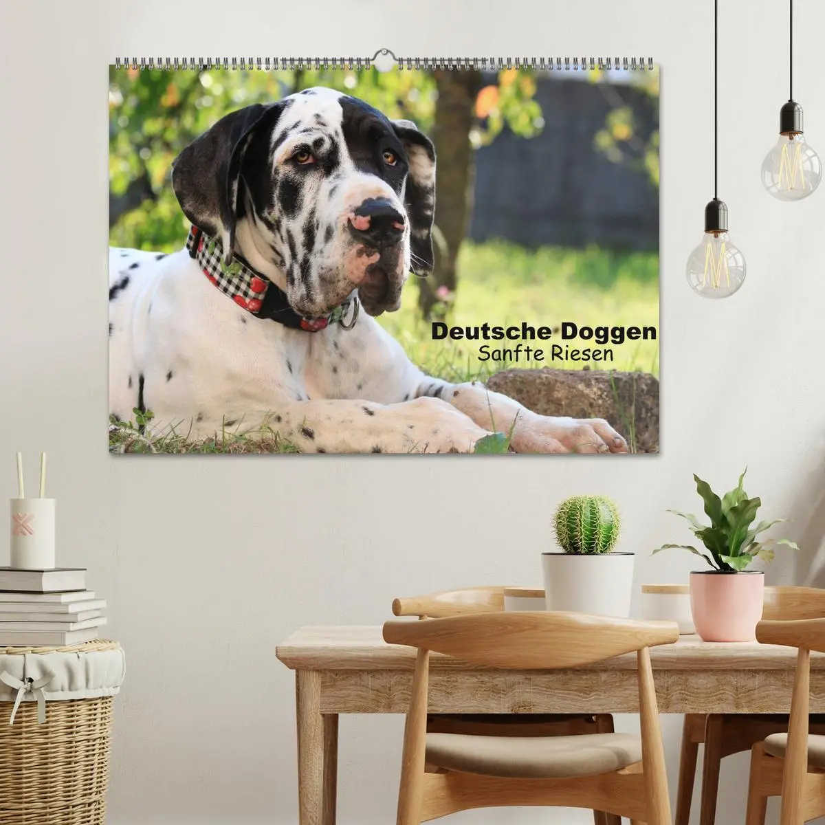 Bild: 9783457965269 | Deutsche Doggen - Sanfte Riesen (Wandkalender 2026 DIN A2 quer),...