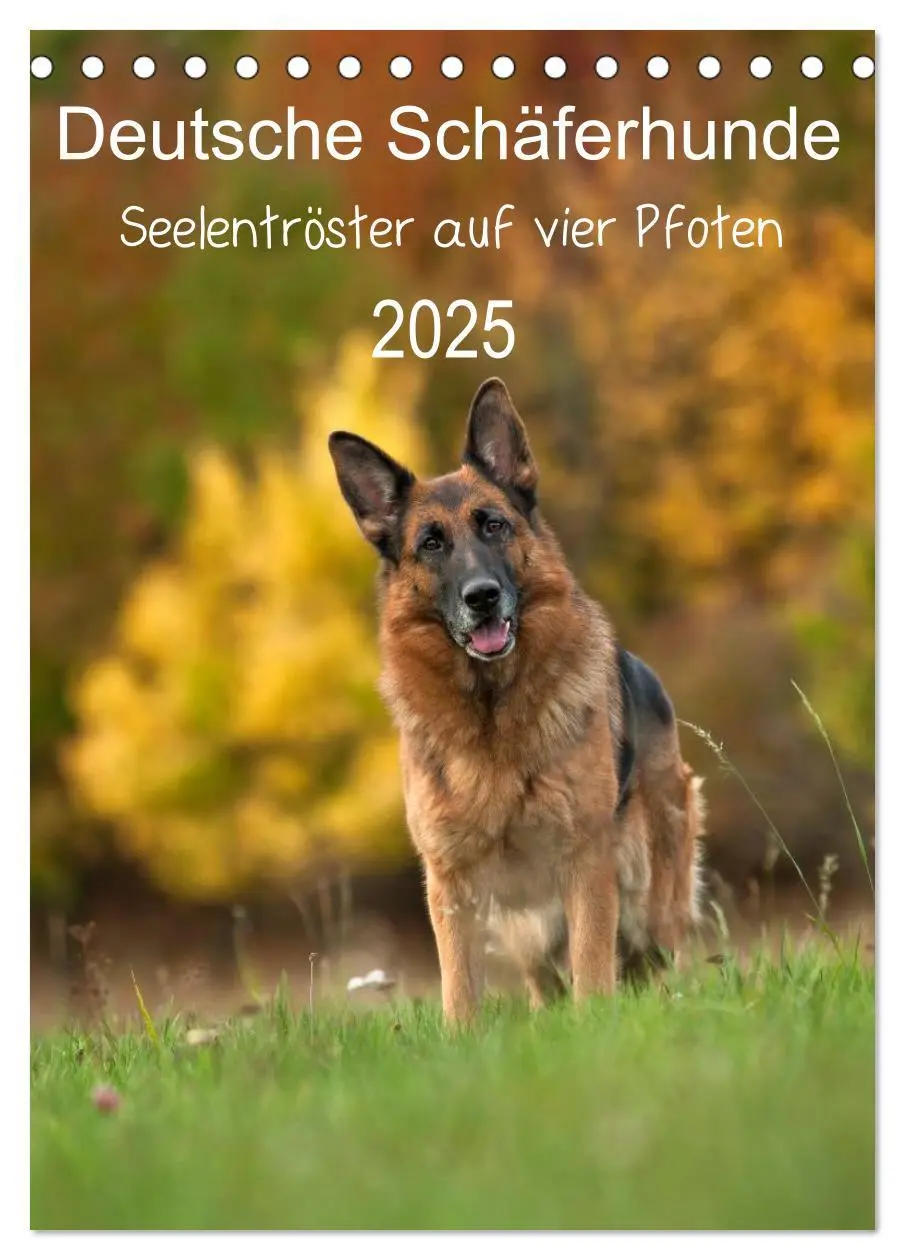 Cover: 9783457025369 | Deutsche Schäferhunde - Seelentröster auf vier Pfoten...