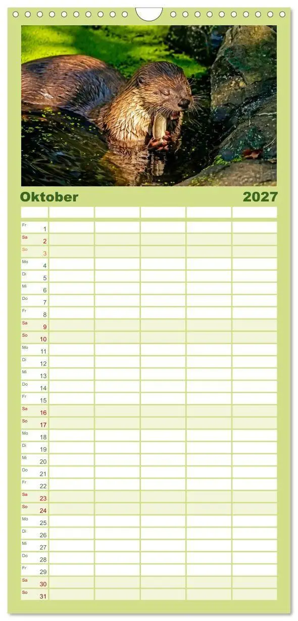 Bild: 9783594335369 | Familienplaner 2027 - Fischotter - putzige Kerlchen und elegante...