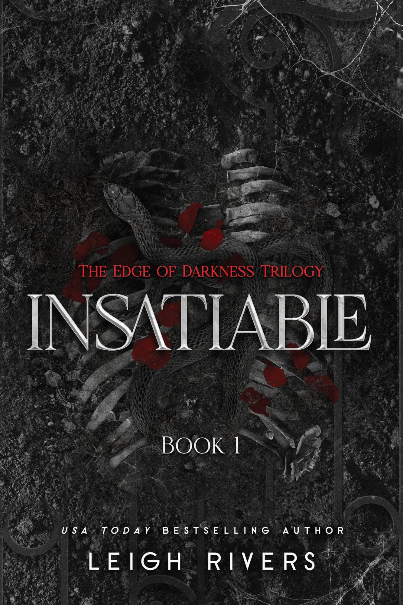 Cover: 9781638935469 | Insatiable | The Edge of Darkness Trilogy | Leigh Rivers | Taschenbuch