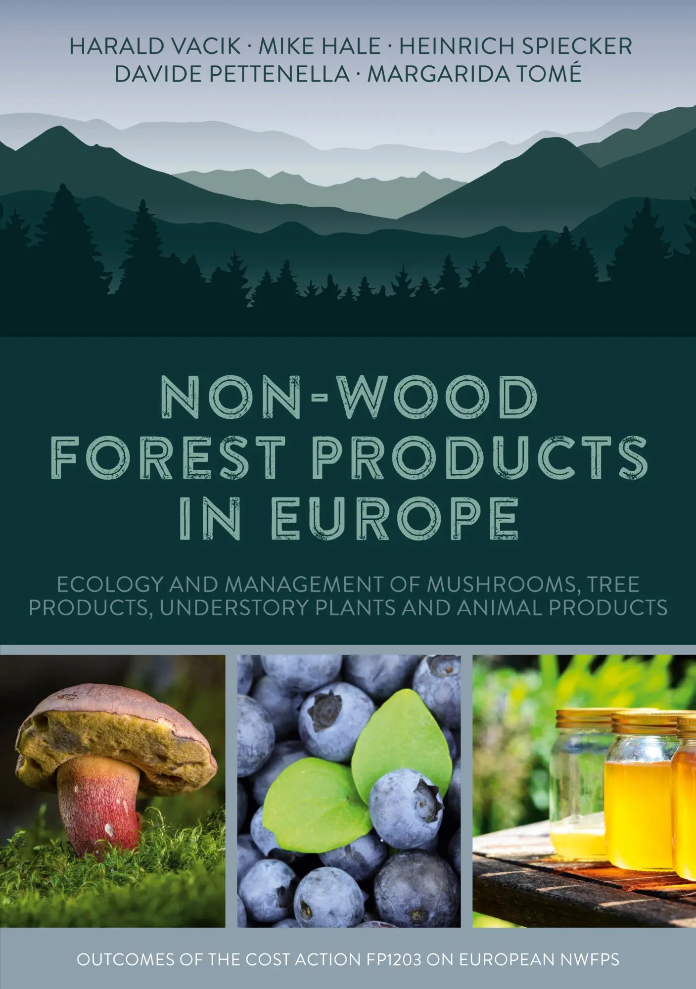 Cover: 9783749475469 | Non-Wood Forest Products in Europe | Harald Vacik (u. a.) | Buch