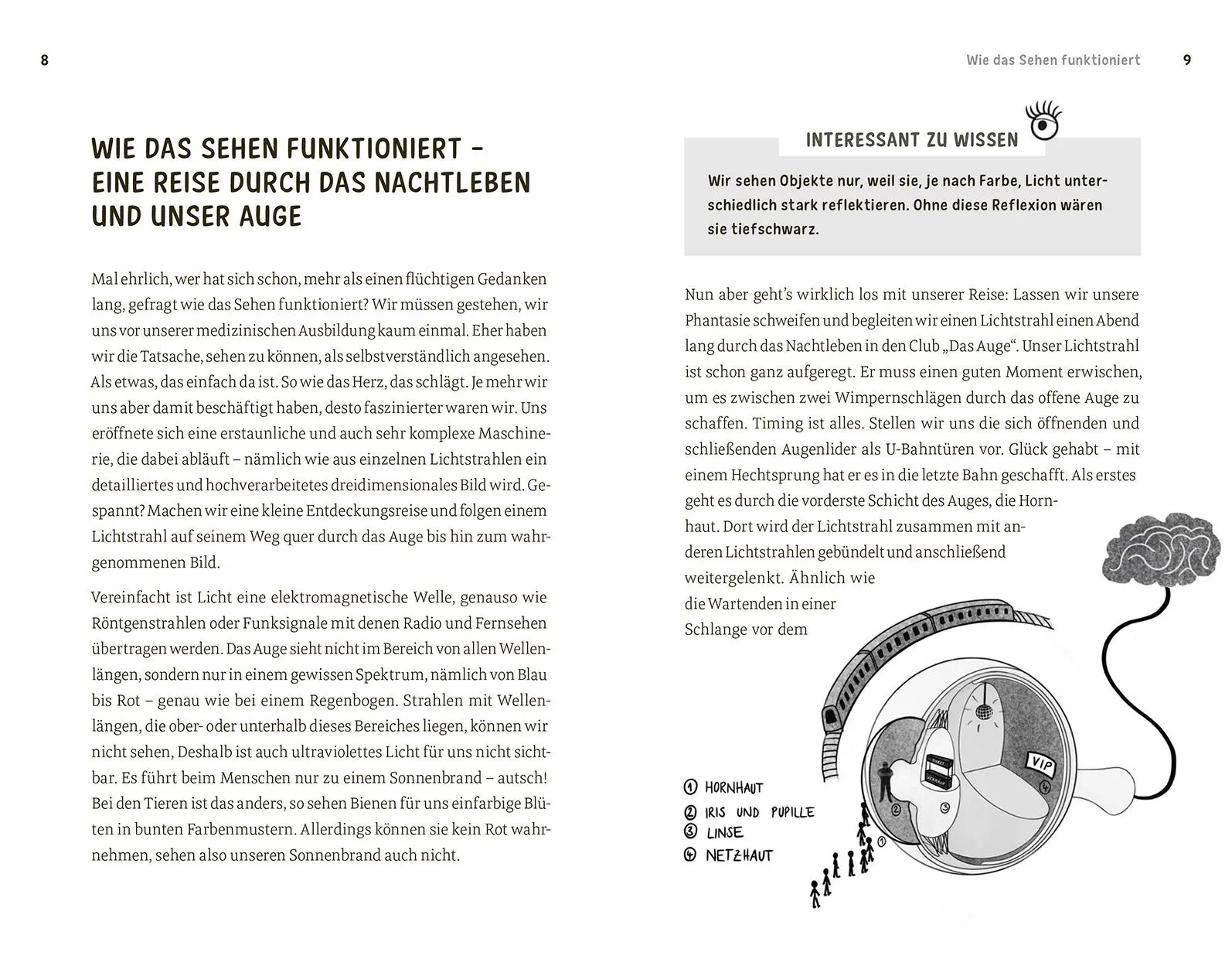 Bild: 9788868395469 | Faszination Auge | Barbara Fischer (u. a.) | Taschenbuch | 208 S.