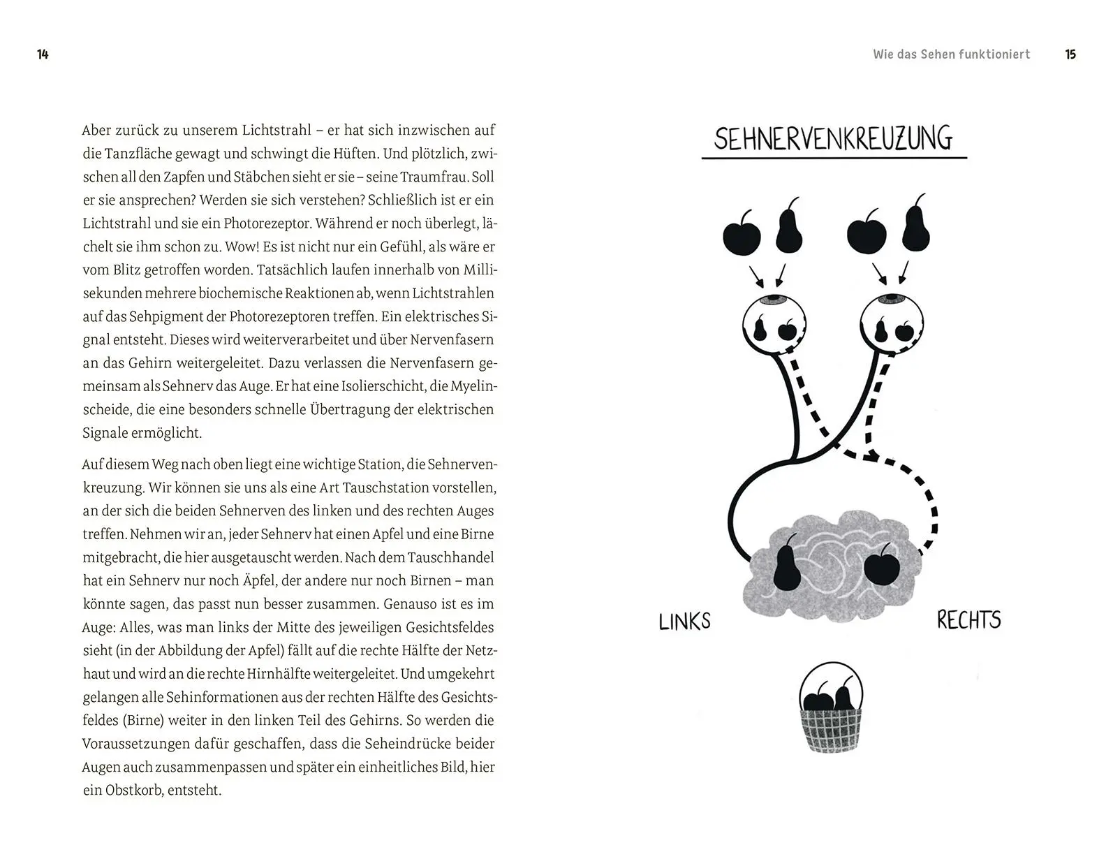 Bild: 9788868395469 | Faszination Auge | Barbara Fischer (u. a.) | Taschenbuch | 208 S.
