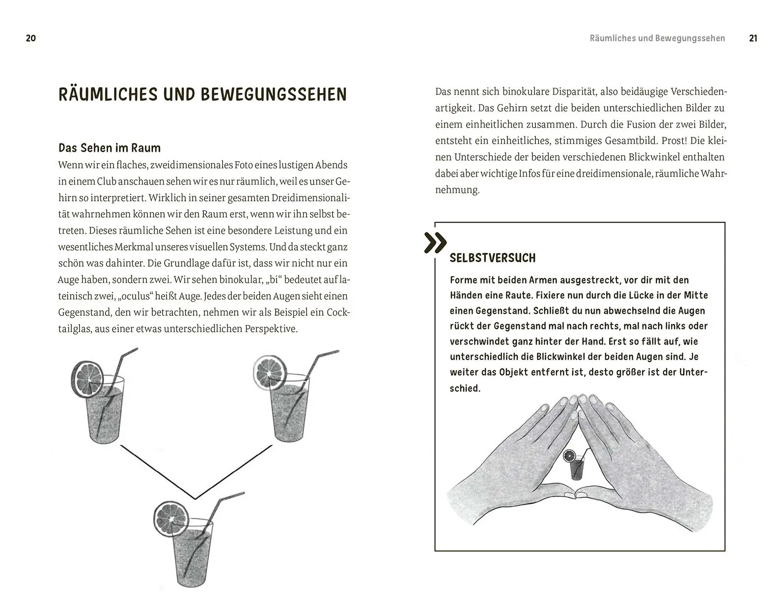 Bild: 9788868395469 | Faszination Auge | Barbara Fischer (u. a.) | Taschenbuch | 208 S.