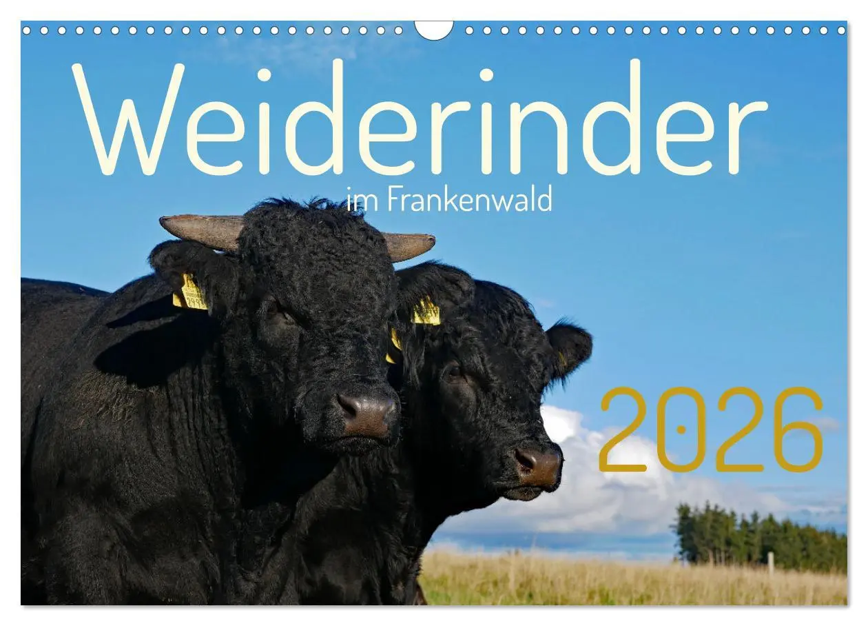Cover: 9783457555569 | Weiderinder im Frankenwald (Wandkalender 2026 DIN A3 quer),...