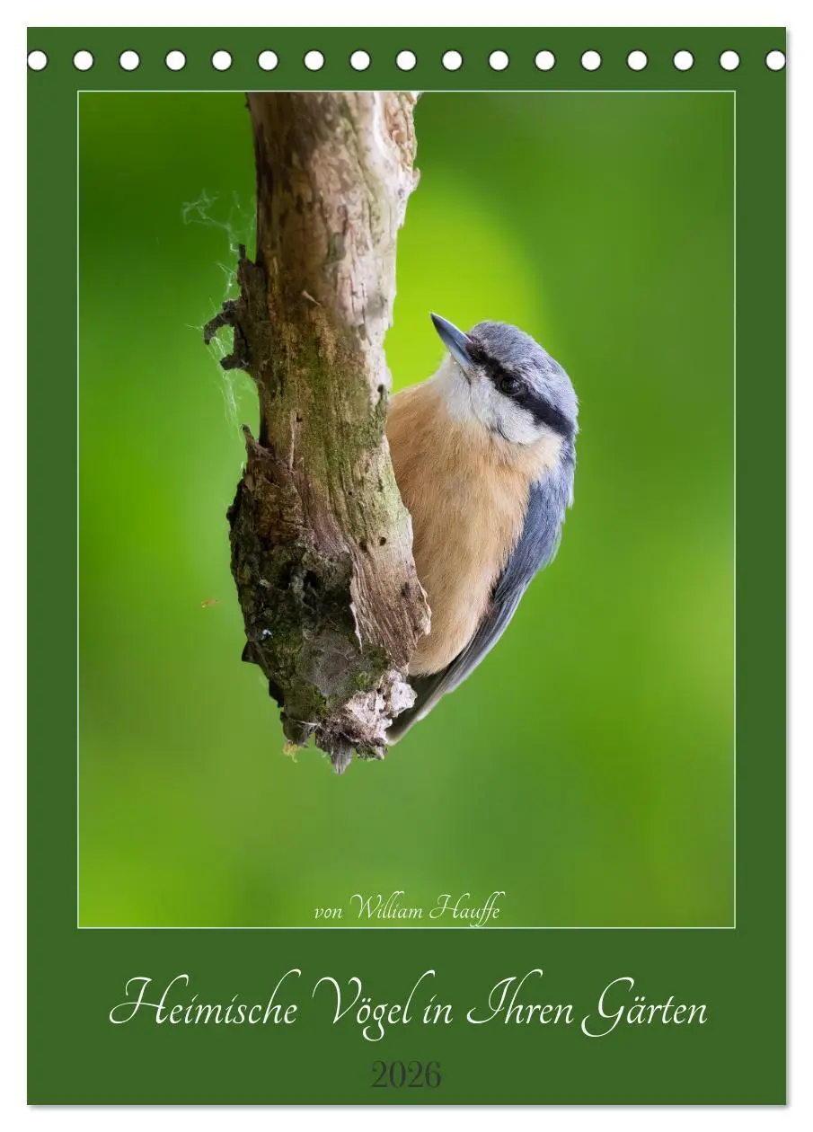Cover: 9783516335569 | Heimische Vögel in Ihren Gärten (Tischkalender 2026 DIN A5 hoch),...