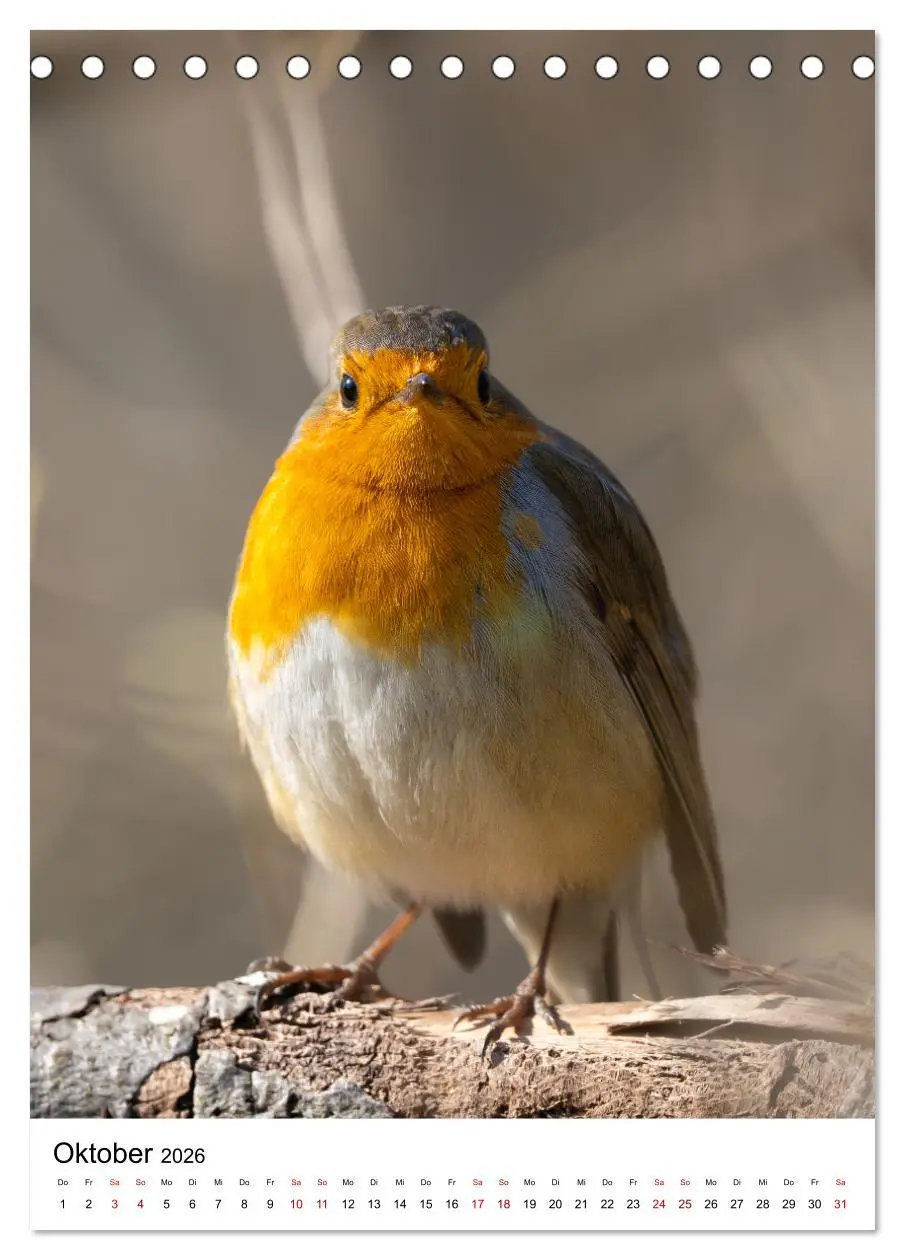 Bild: 9783516335569 | Heimische Vögel in Ihren Gärten (Tischkalender 2026 DIN A5 hoch),...