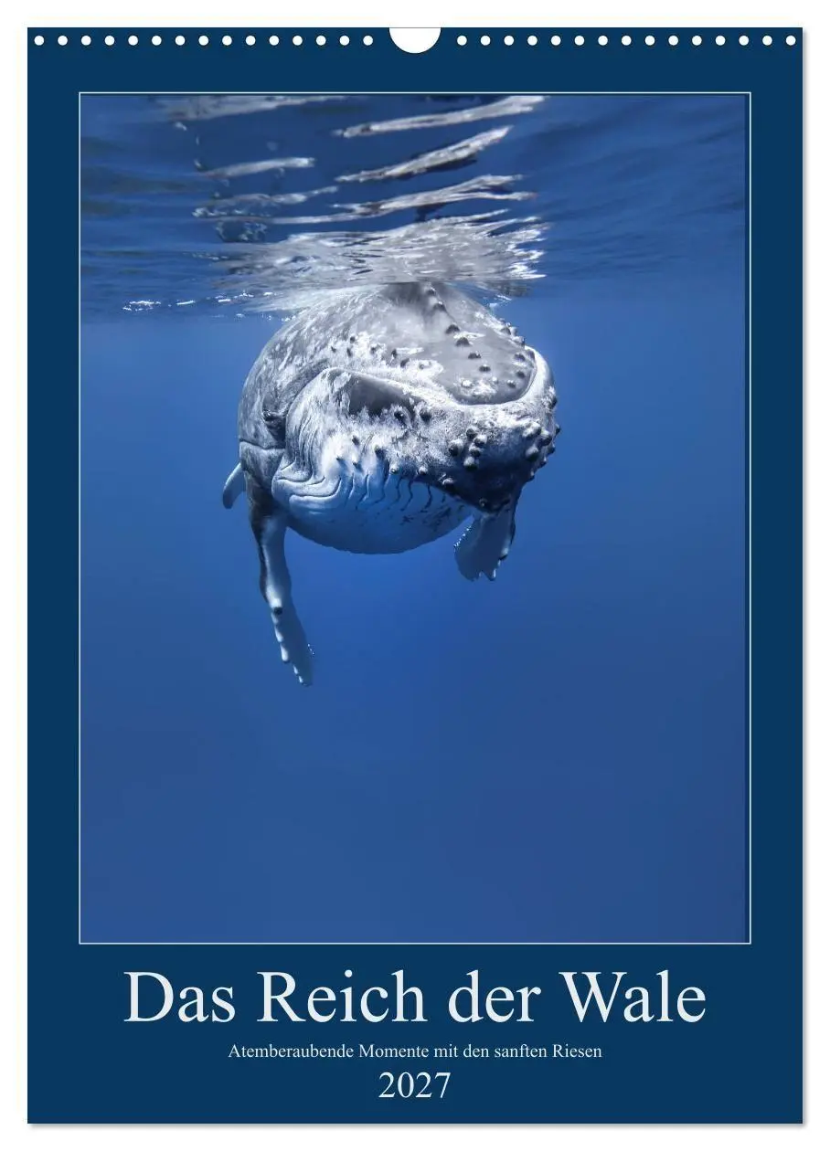 Cover: 9783569805569 | Im Reich der Wale (Wandkalender 2027 DIN A3 hoch), CALVENDO...