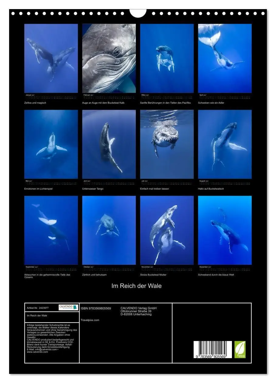 Bild: 9783569805569 | Im Reich der Wale (Wandkalender 2027 DIN A3 hoch), CALVENDO...