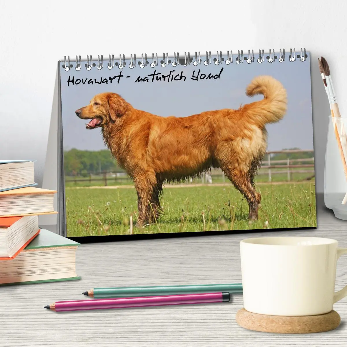 Bild: 9783516185669 | Hovawart - natürlich blond (Tischkalender 2026 DIN A5 quer),...
