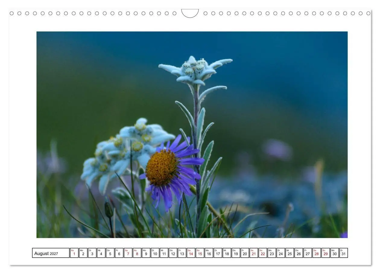 Bild: 9783569585669 | Alpenartig (Wandkalender 2027 DIN A3 quer), CALVENDO Monatskalender