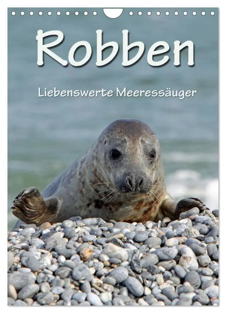 Cover: 9783457085769 | Robben (Wandkalender 2025 DIN A4 hoch), CALVENDO Monatskalender | 2025