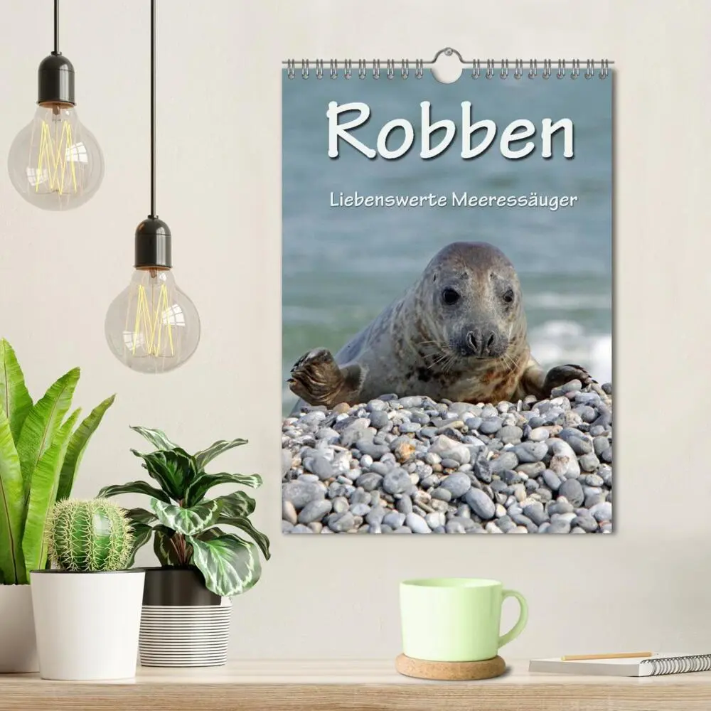 Bild: 9783457085769 | Robben (Wandkalender 2025 DIN A4 hoch), CALVENDO Monatskalender | 2025