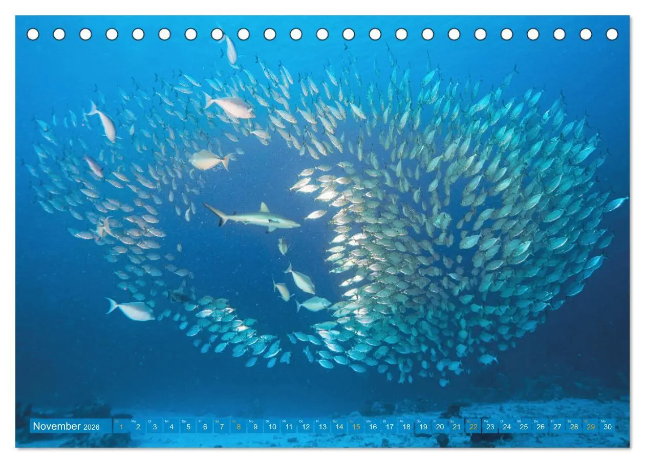 Bild: 9783457465769 | Planet Wasser: Von wegen Planet Erde (Tischkalender 2026 DIN A5...