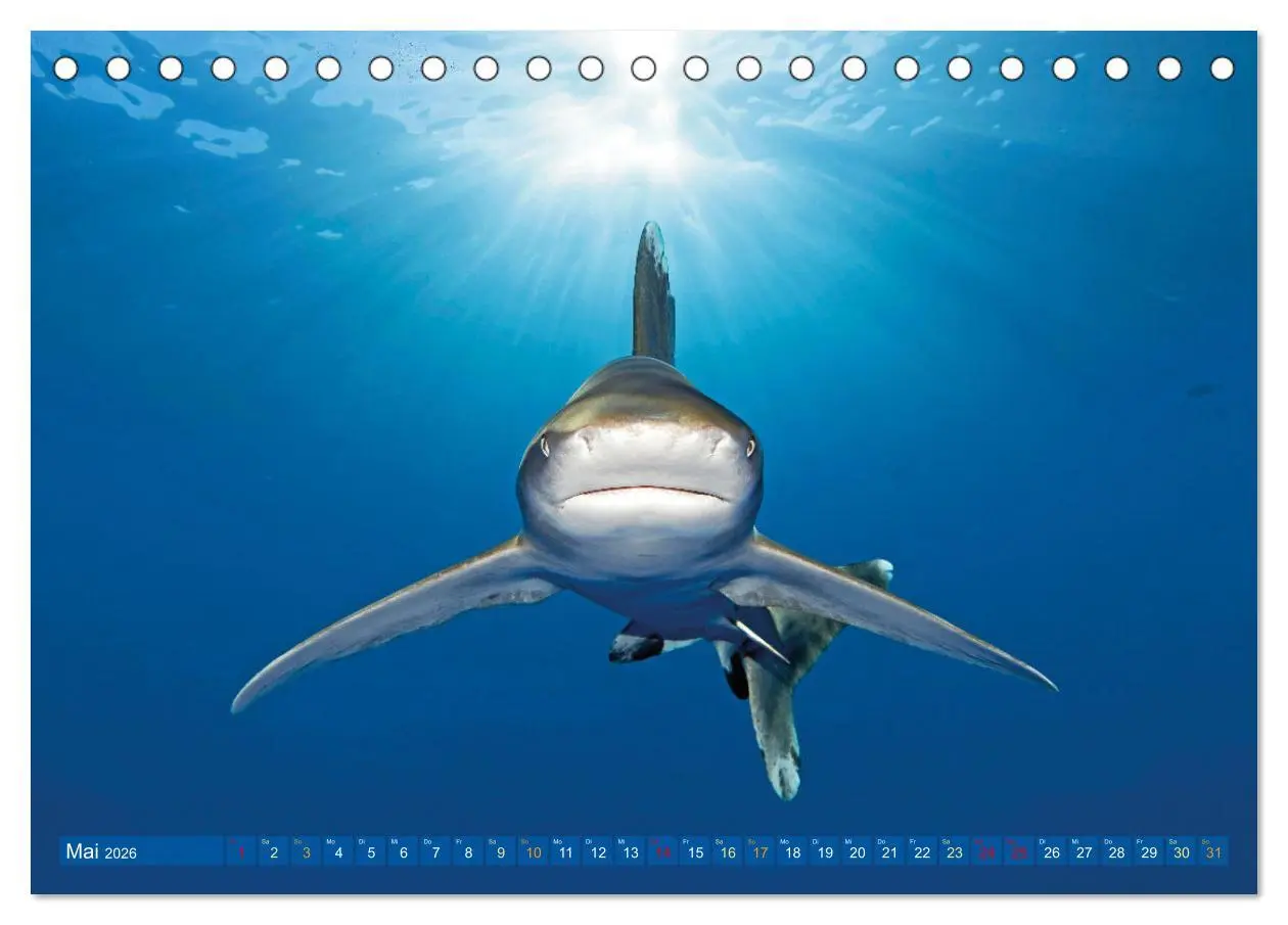 Bild: 9783457465769 | Planet Wasser: Von wegen Planet Erde (Tischkalender 2026 DIN A5...