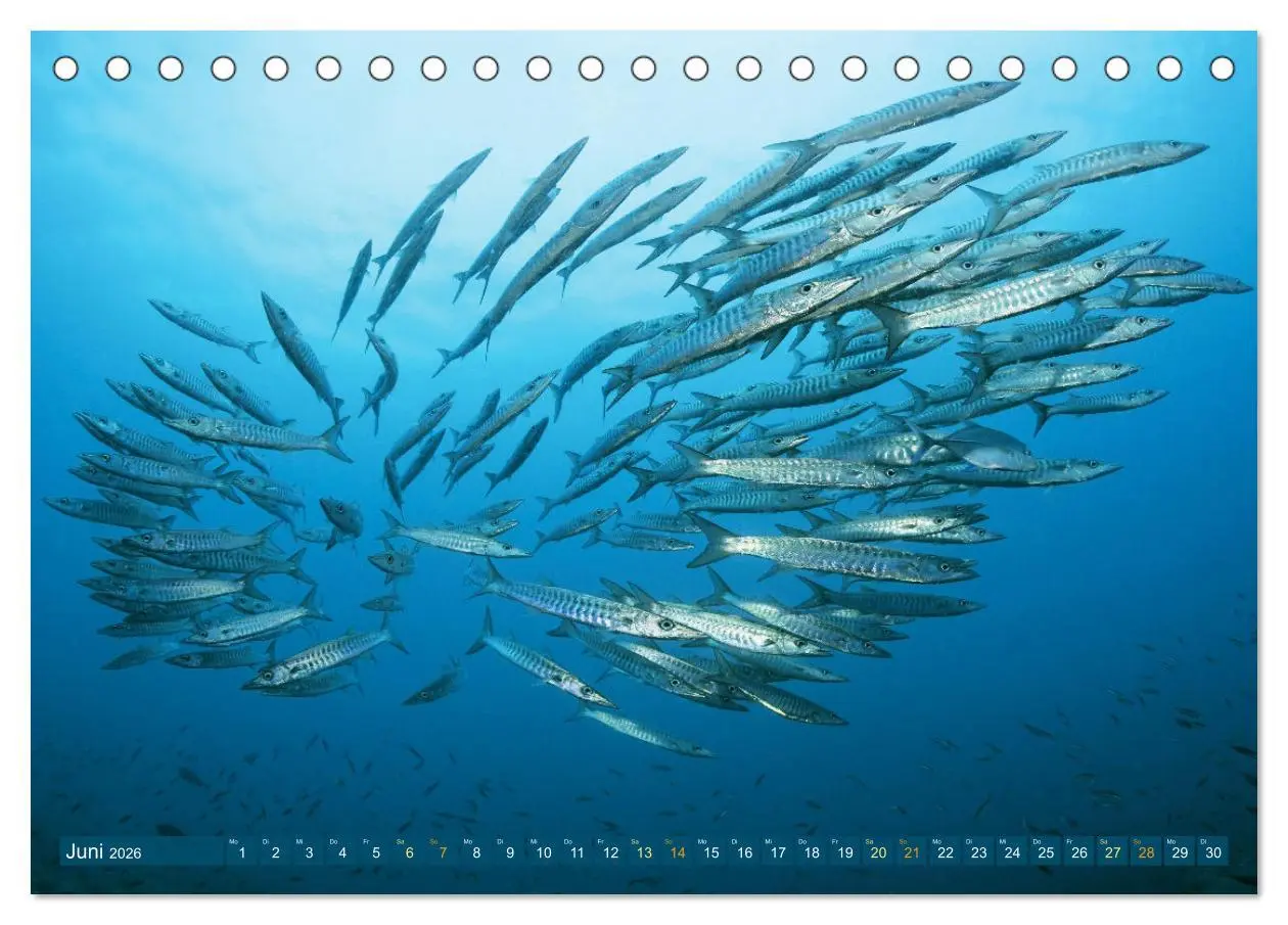 Bild: 9783457465769 | Planet Wasser: Von wegen Planet Erde (Tischkalender 2026 DIN A5...