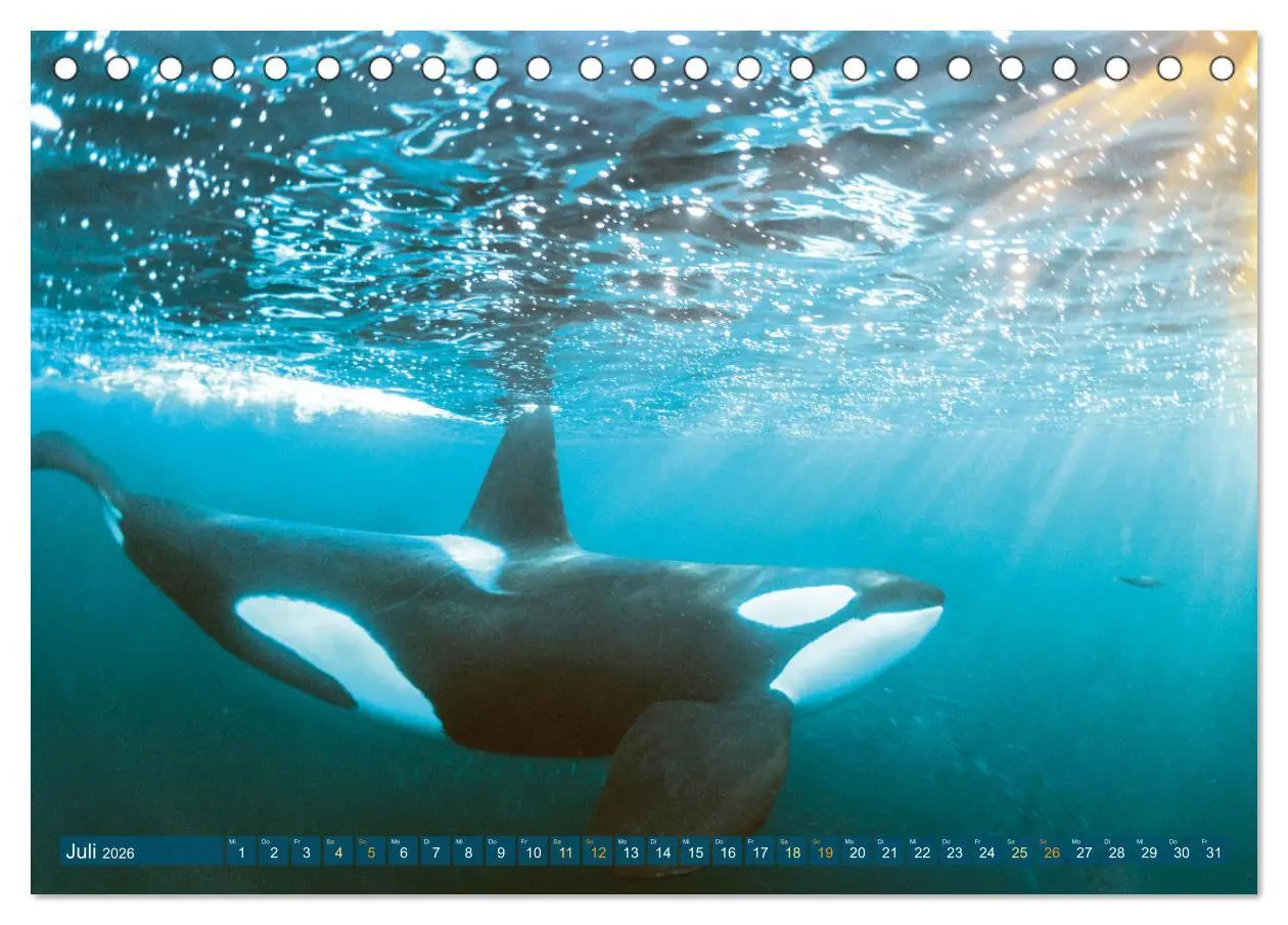 Bild: 9783457465769 | Planet Wasser: Von wegen Planet Erde (Tischkalender 2026 DIN A5...