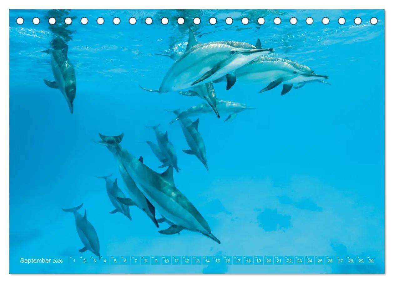 Bild: 9783457465769 | Planet Wasser: Von wegen Planet Erde (Tischkalender 2026 DIN A5...