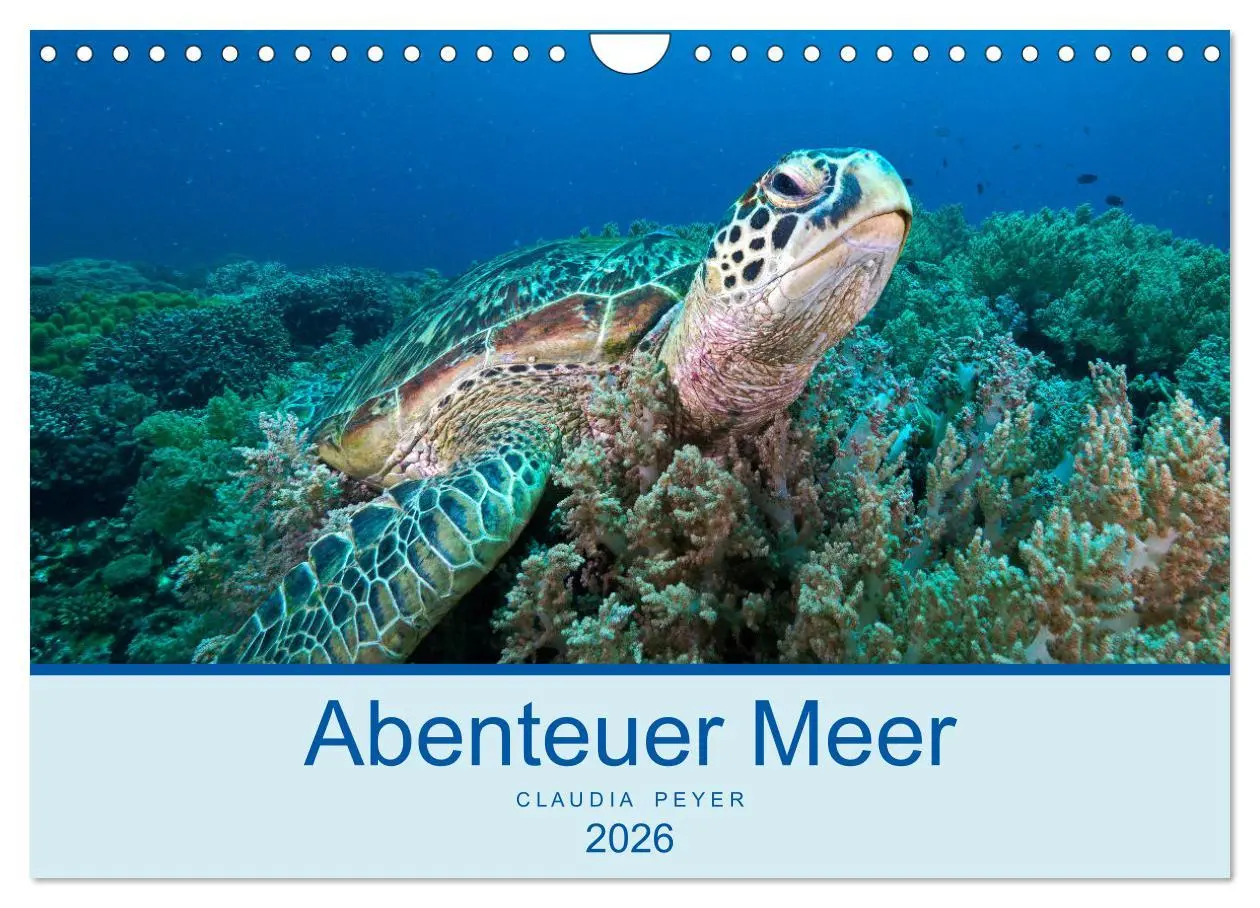 Cover: 9783457775769 | Abenteuer Unterwasser (Wandkalender 2026 DIN A4 quer), CALVENDO...