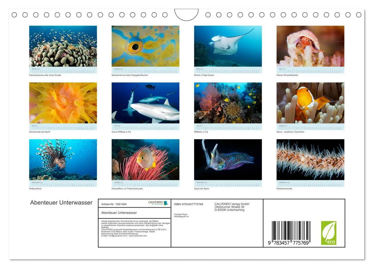 Bild: 9783457775769 | Abenteuer Unterwasser (Wandkalender 2026 DIN A4 quer), CALVENDO...
