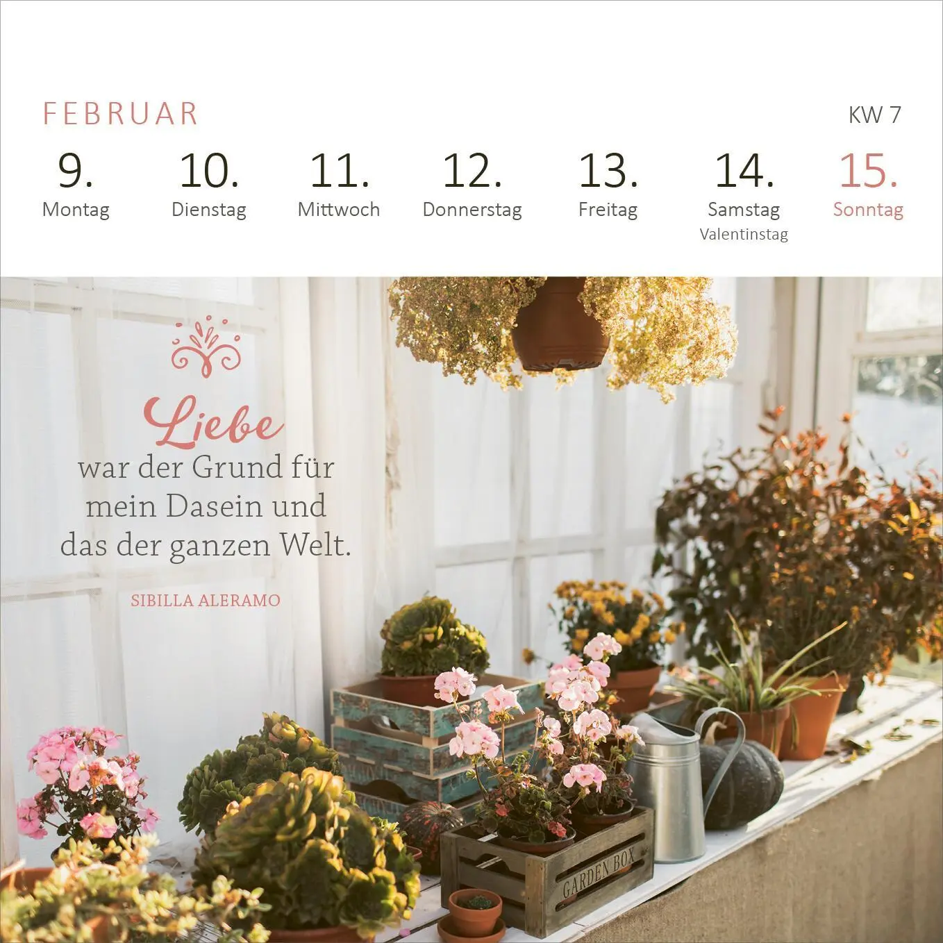 Bild: 4014489135869 | Mini-Wochenkalender 365 Tage Sonne im Herzen 2026 | Kalender | 108 S.