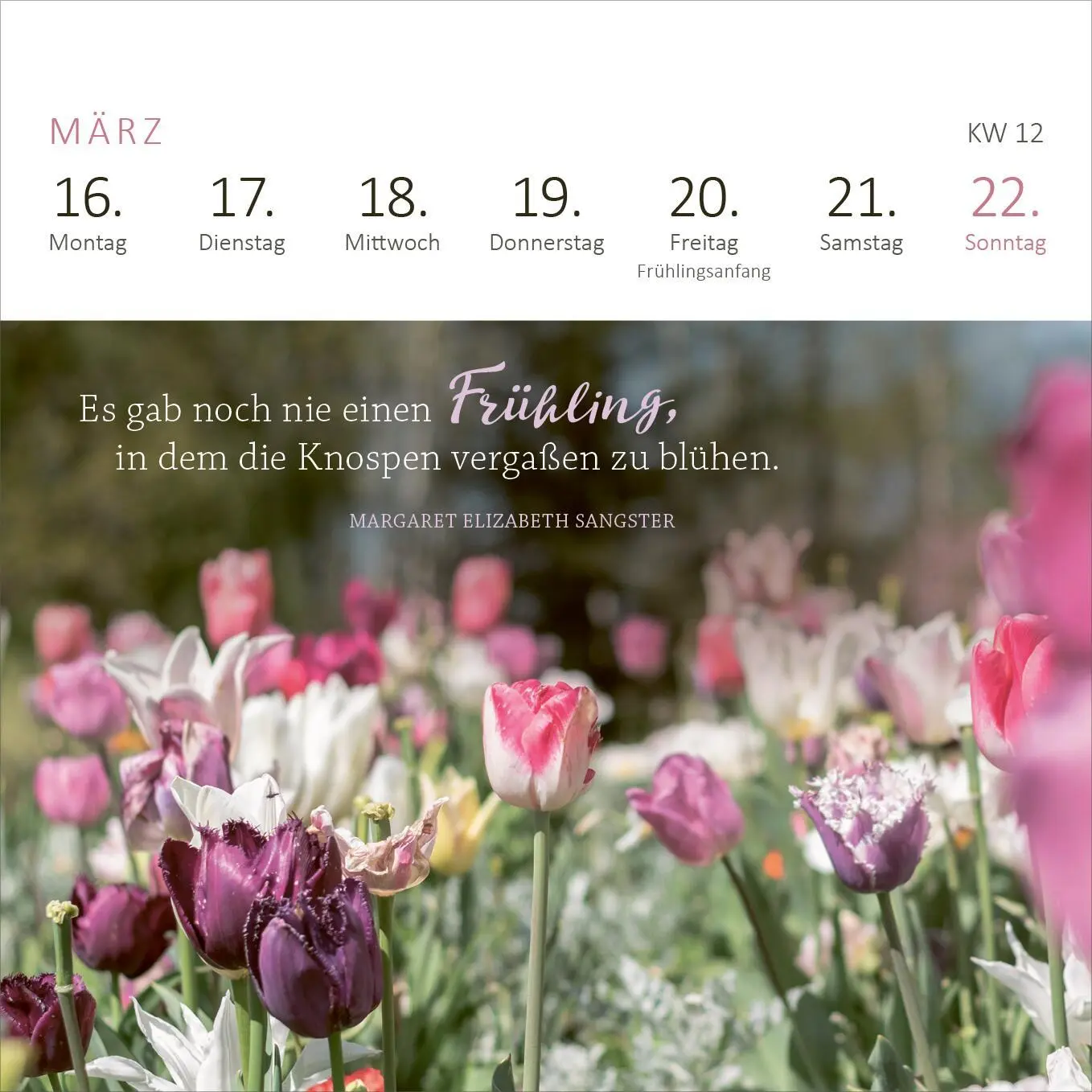 Bild: 4014489135869 | Mini-Wochenkalender 365 Tage Sonne im Herzen 2026 | Kalender | 108 S.
