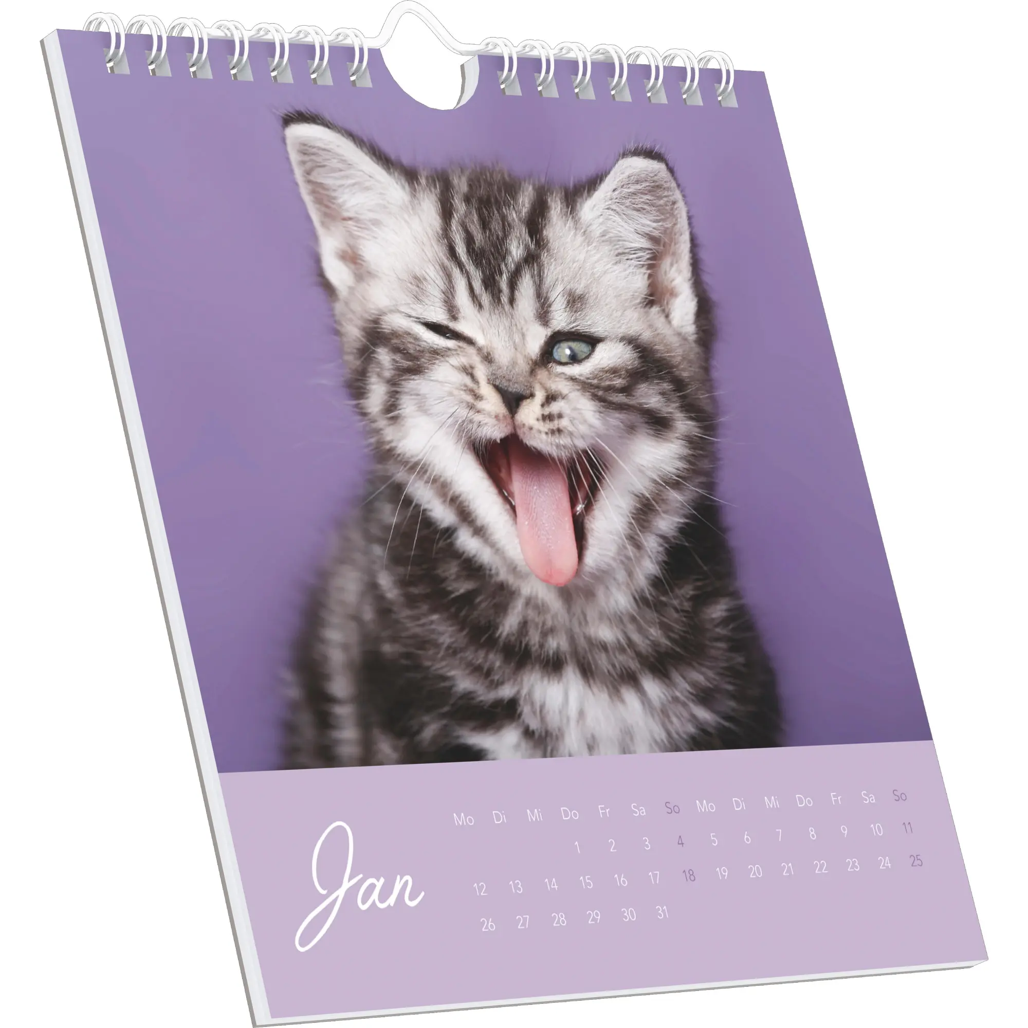 Bild: 4069095005969 | Kleine Samtpfötchen 2026 - Postkartenkalender 16x17 cm - Katzen -...