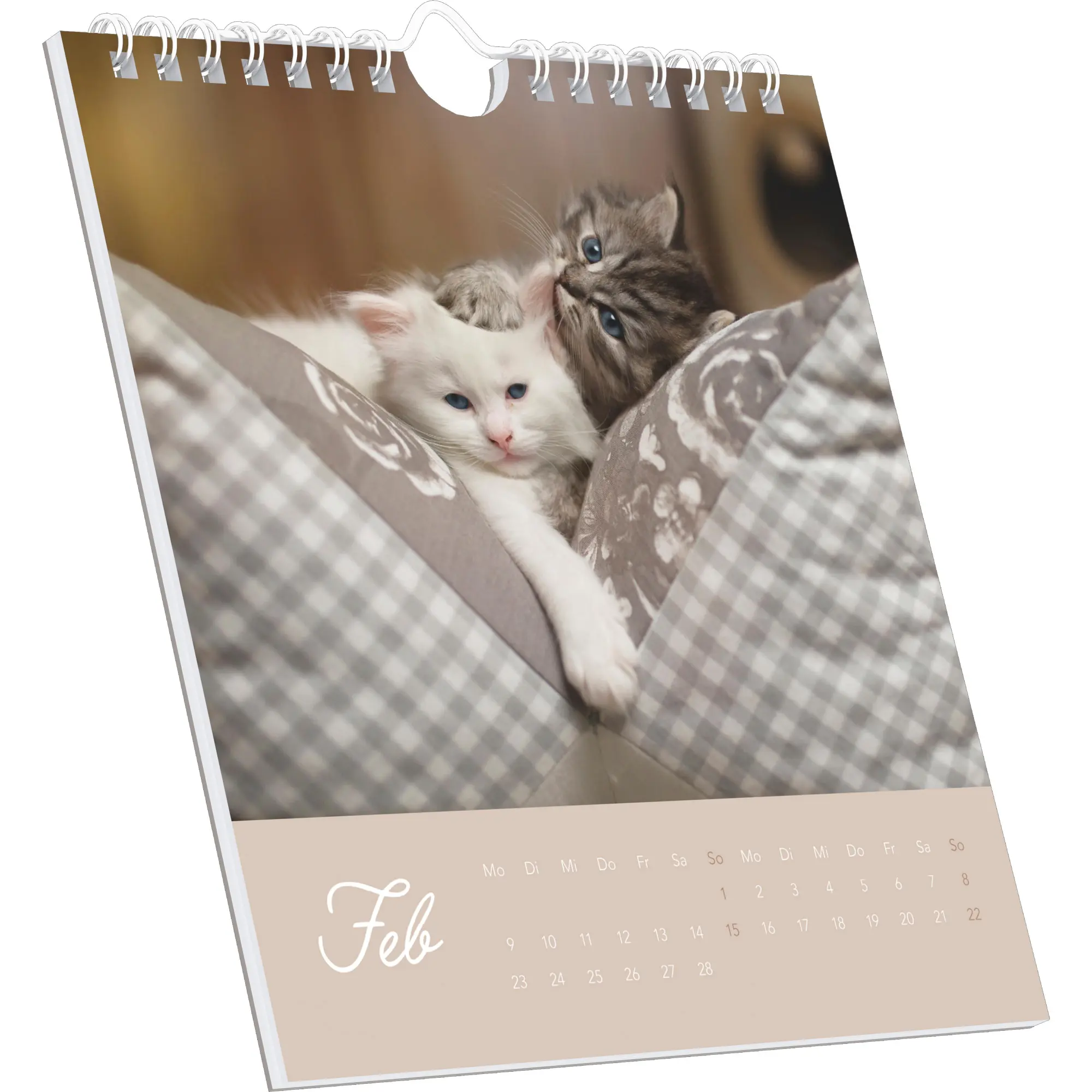 Bild: 4069095005969 | Kleine Samtpfötchen 2026 - Postkartenkalender 16x17 cm - Katzen -...