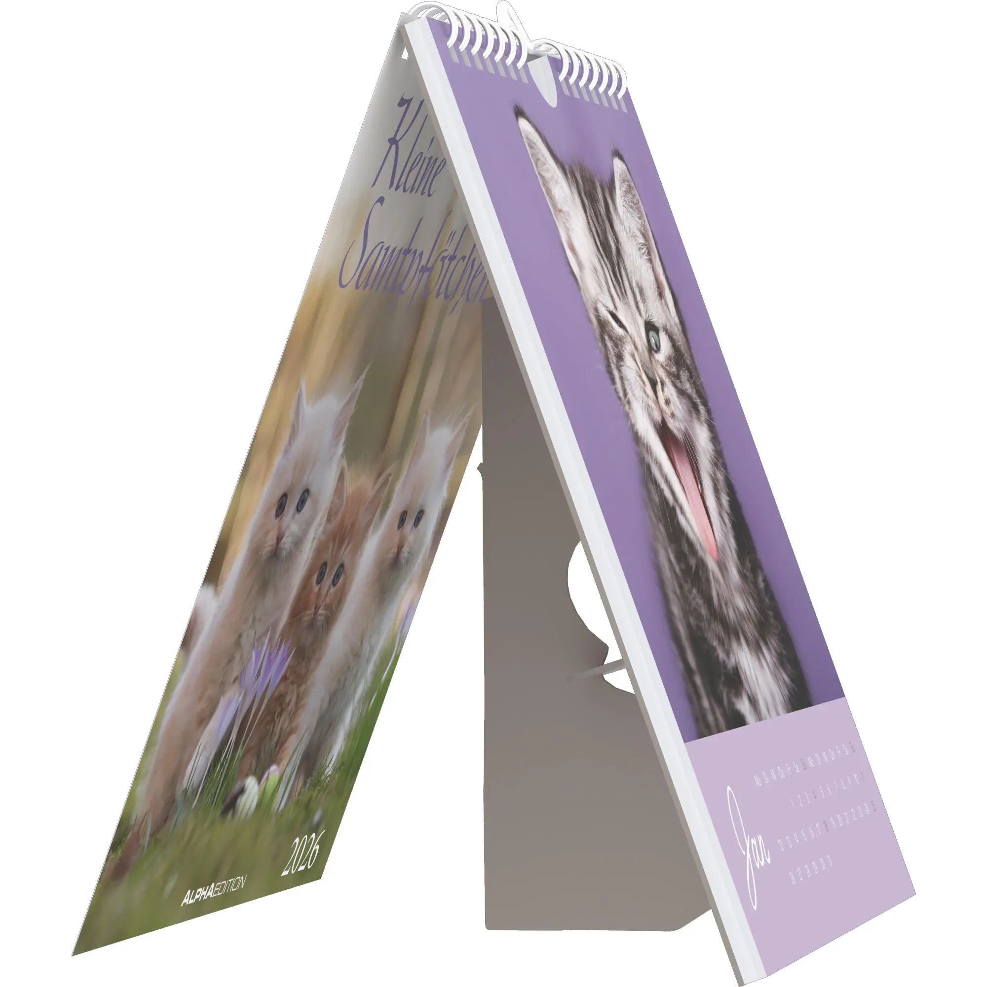 Bild: 4069095005969 | Kleine Samtpfötchen 2026 - Postkartenkalender 16x17 cm - Katzen -...