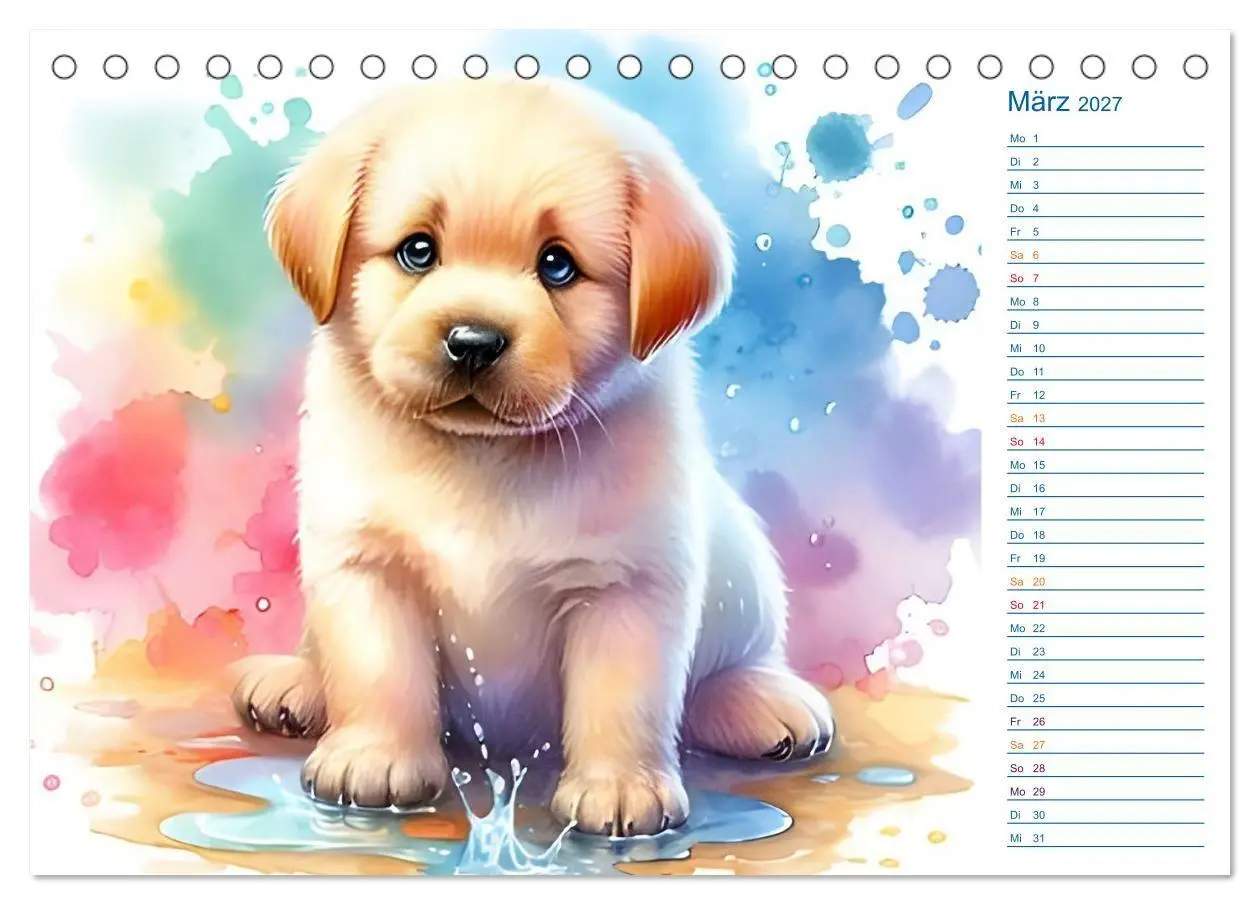 Bild: 9783516775969 | Süße Tierbabys - niedliche Illustrationen (Tischkalender 2027 DIN...